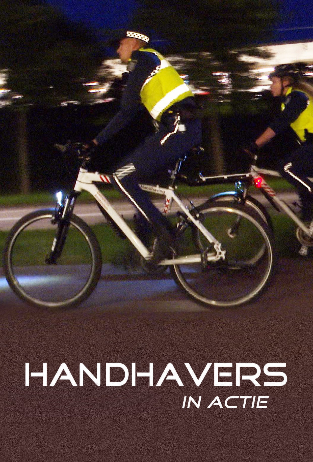 Handhavers in Actie