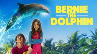 Bernie the Dolphin