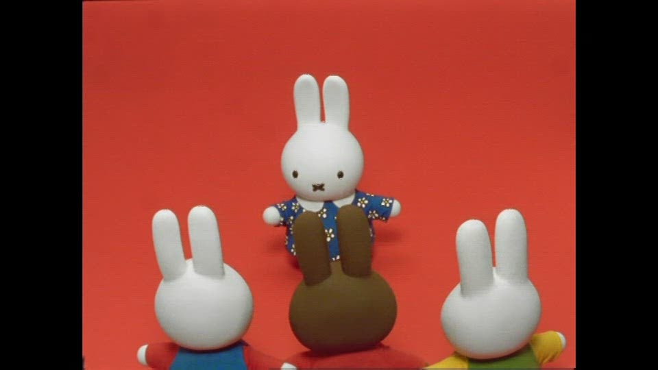 Nijntje Special: Jarig