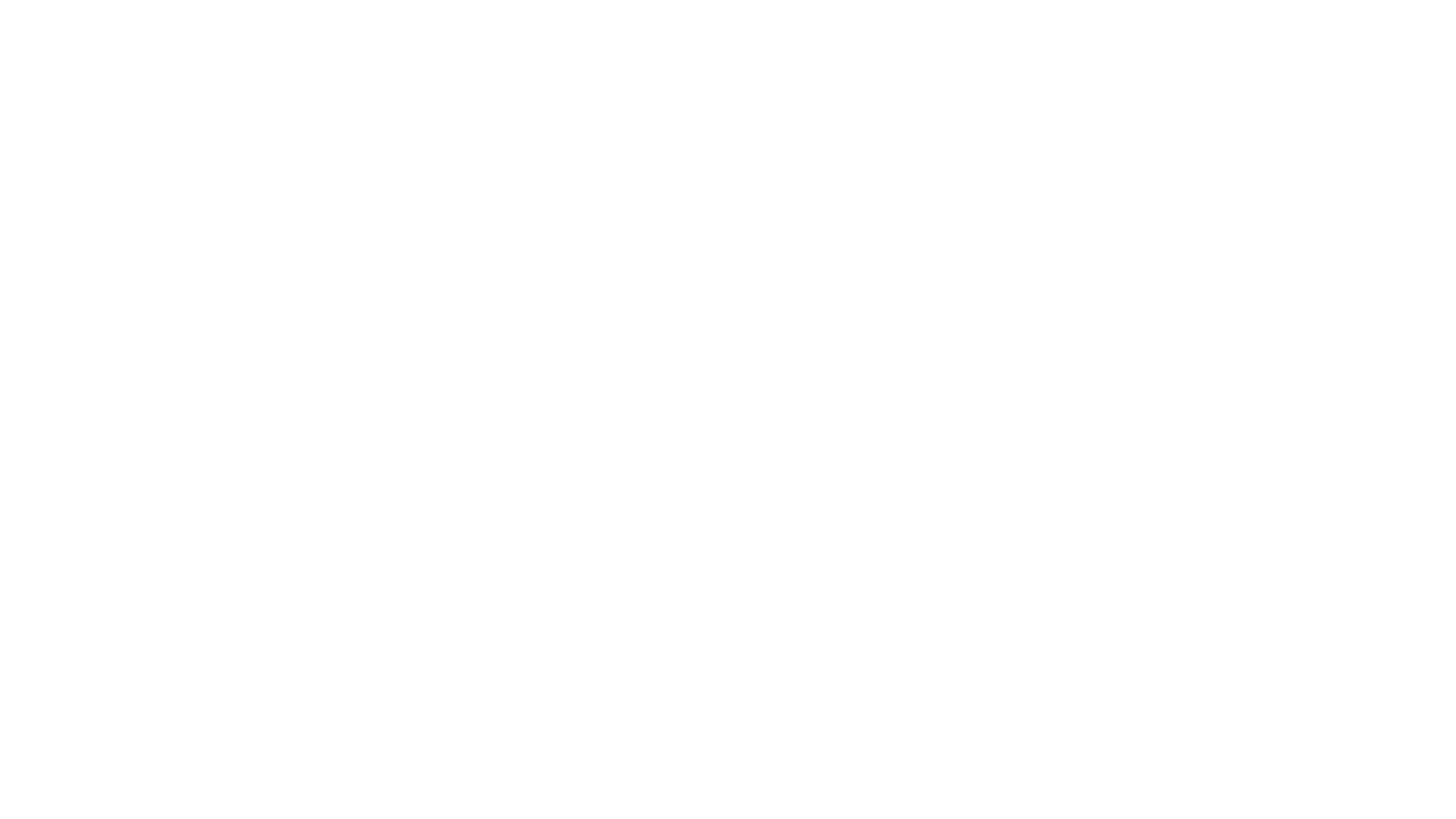 The Runner
