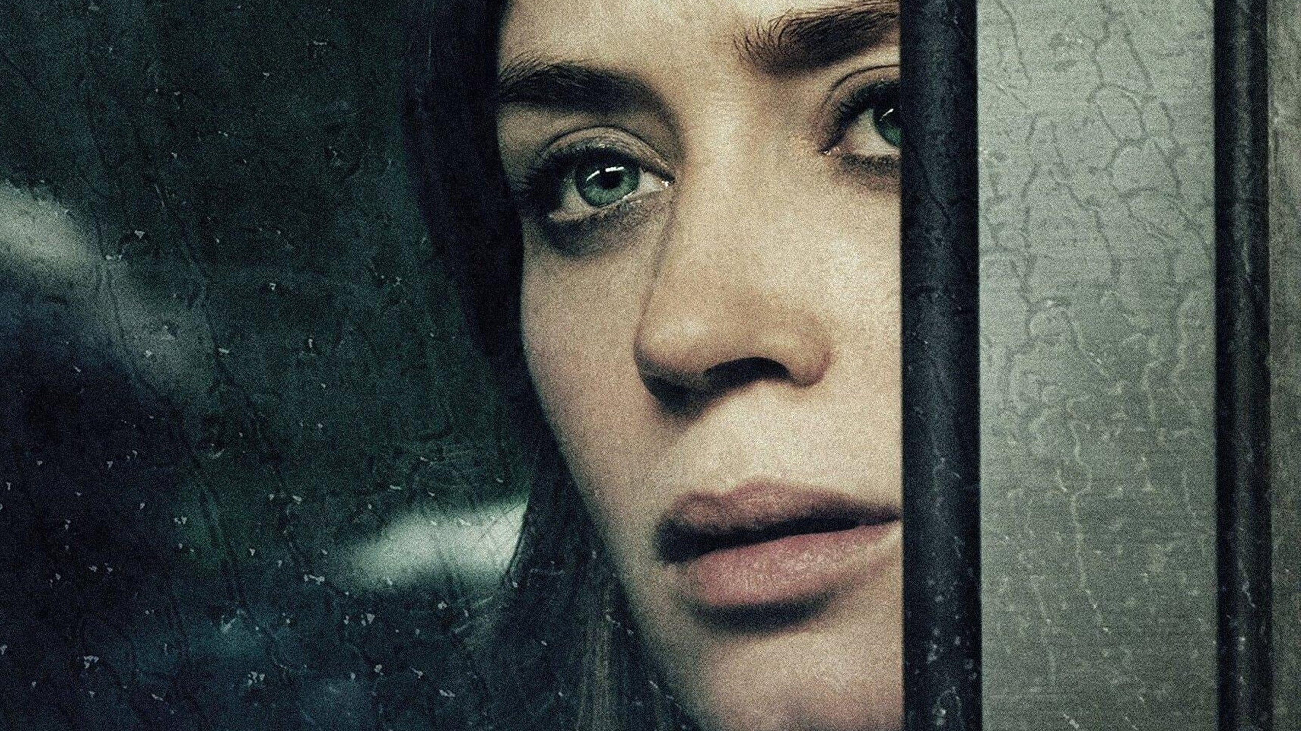 The Girl on the Train