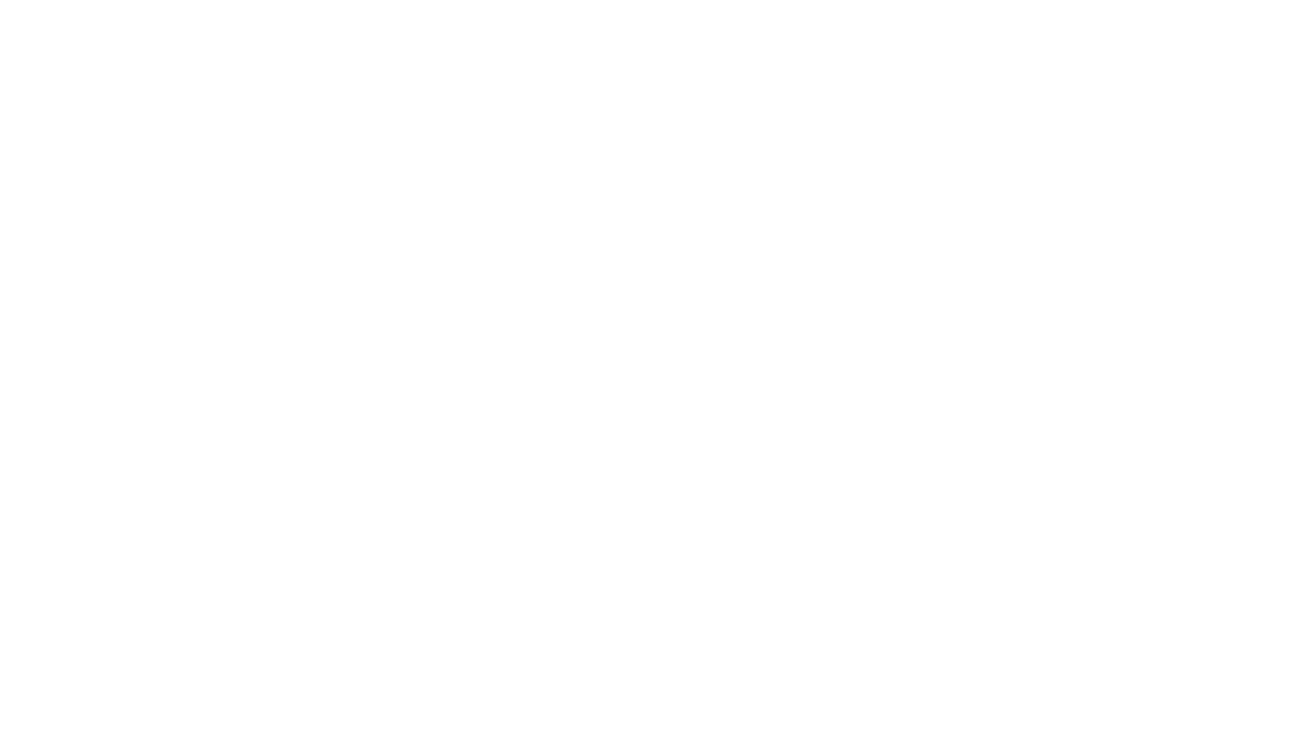 The Beach House