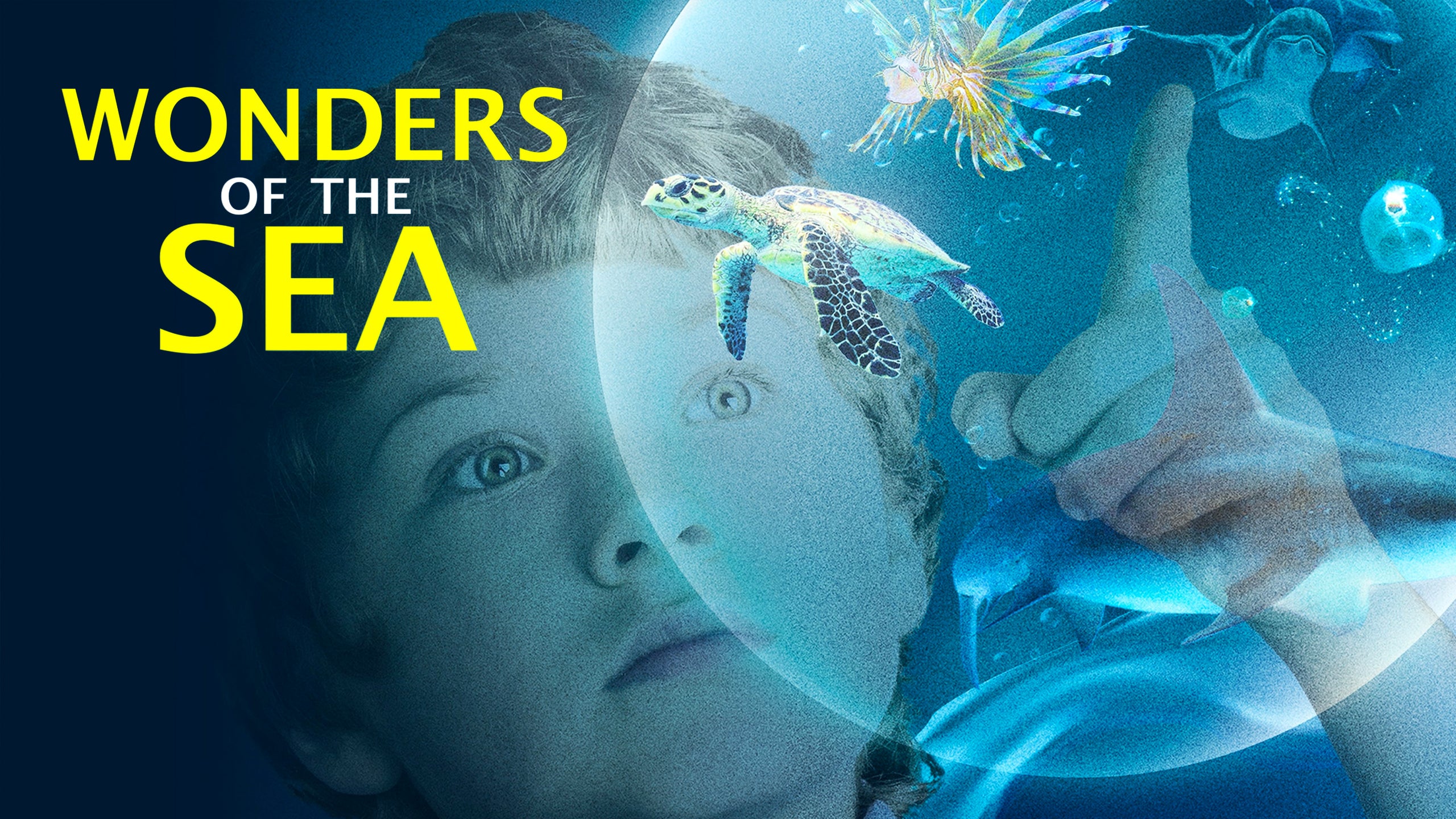 Wonders Of The Sea