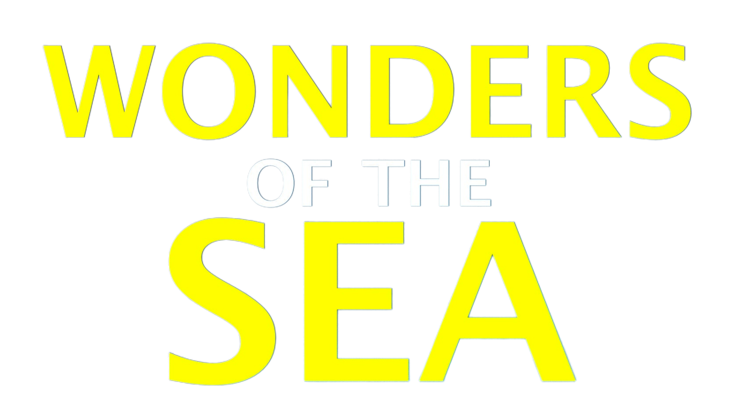 Wonders Of The Sea