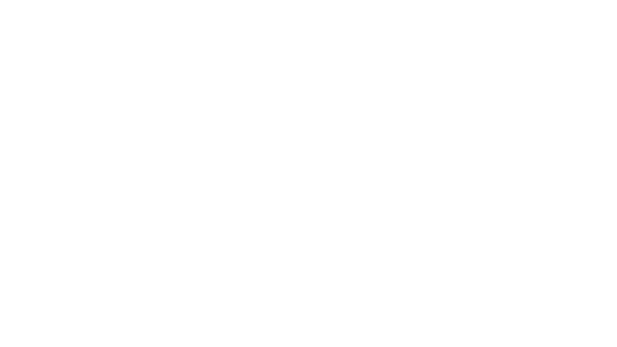 The Christmas House