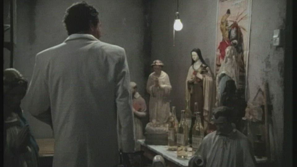 Latin Lover (Deel 1)