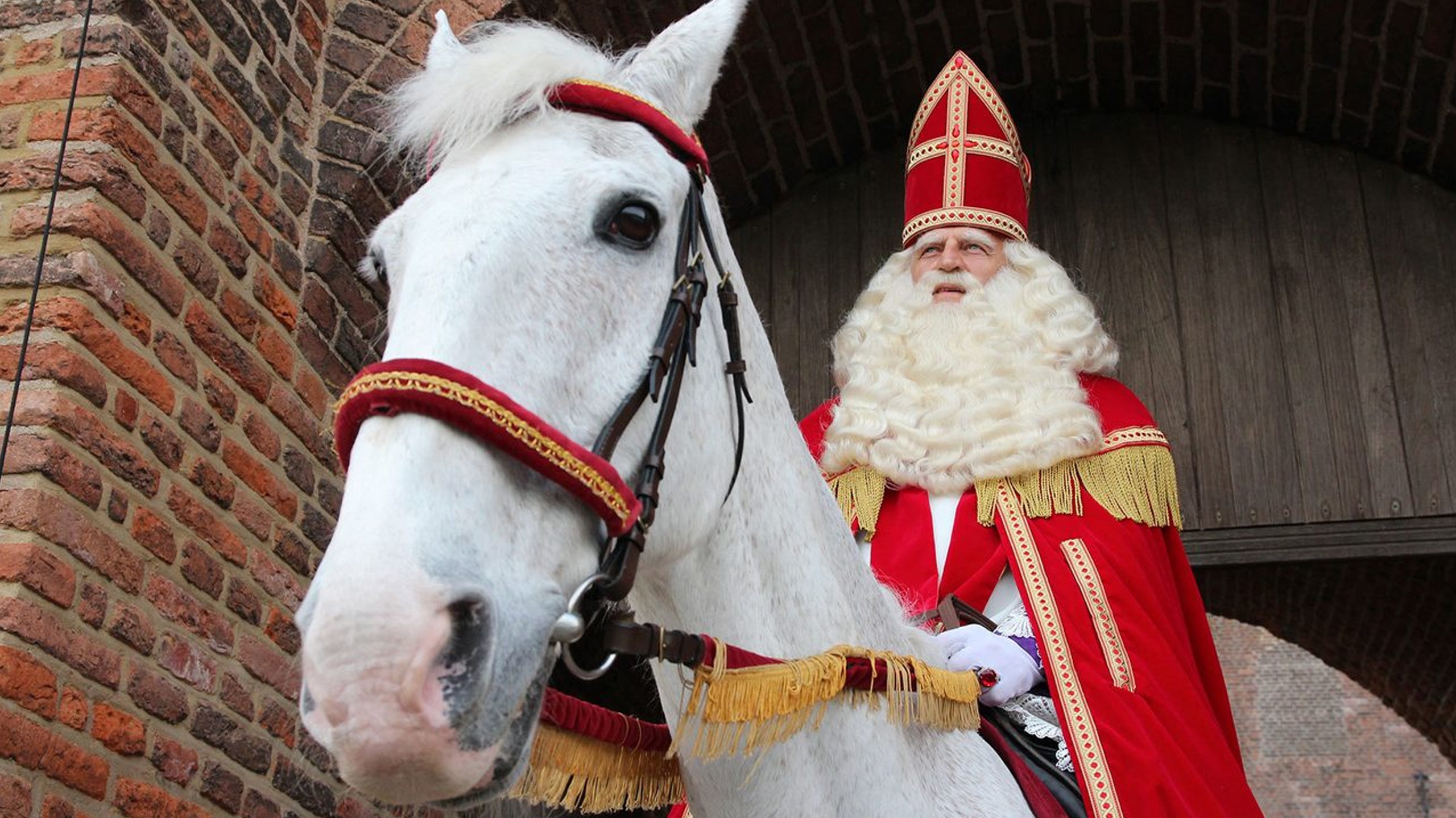 Sinterklaas & Het Gouden Hoefijzer