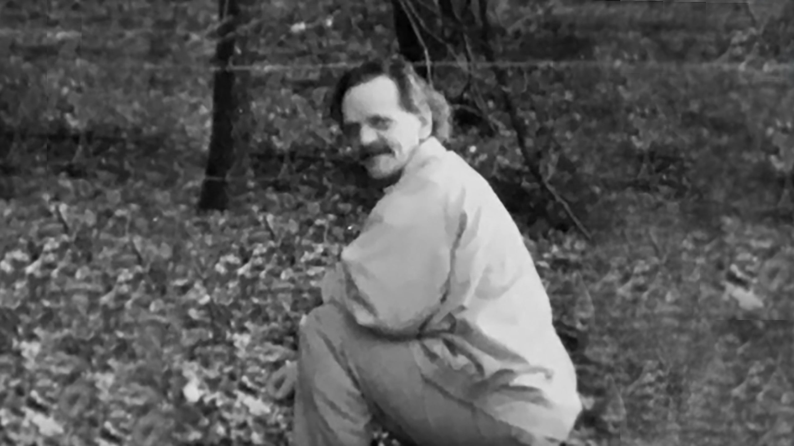 Het Beest Van Harkstede