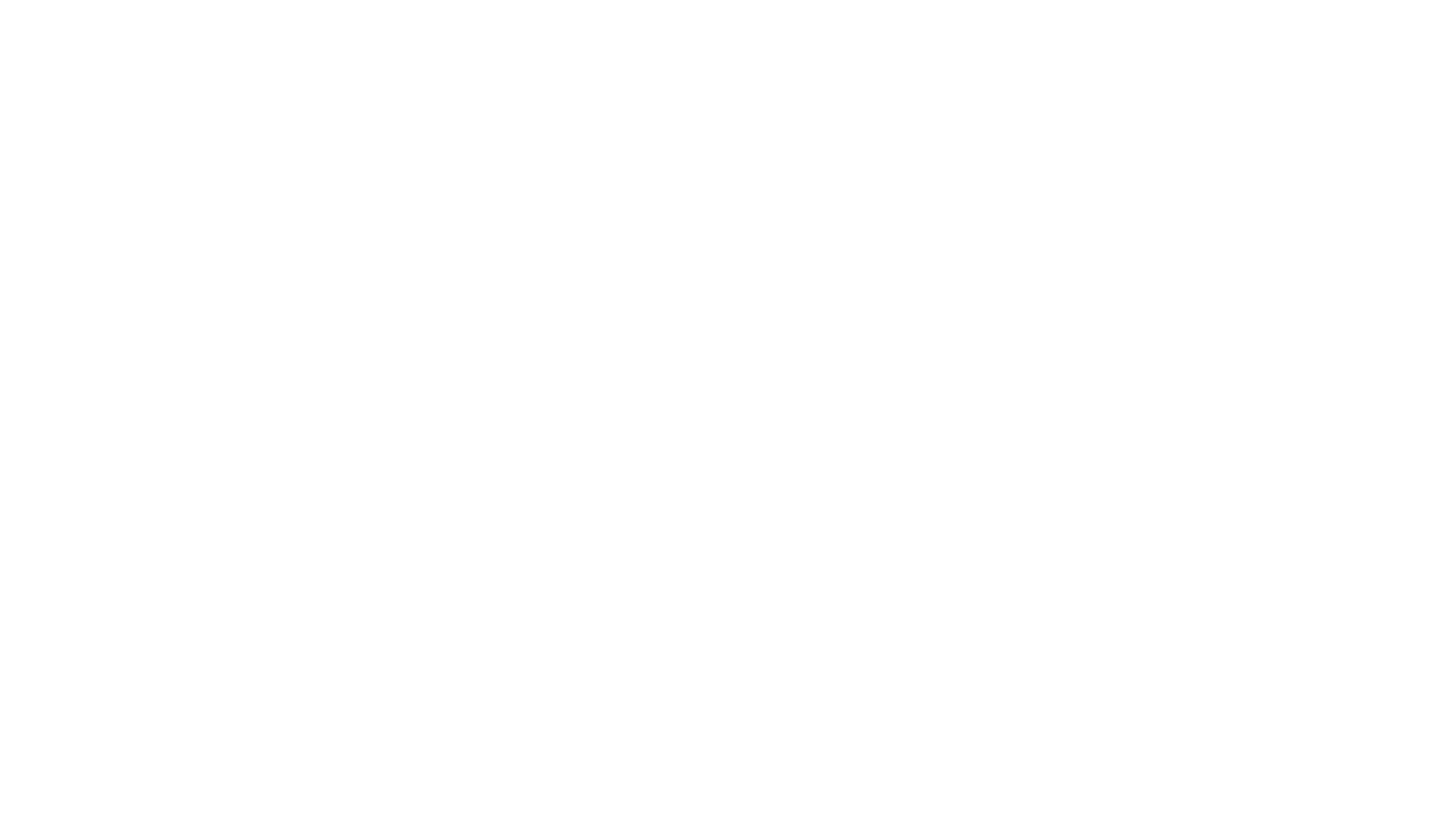 Pim en Pom - Het Grote Avontuur