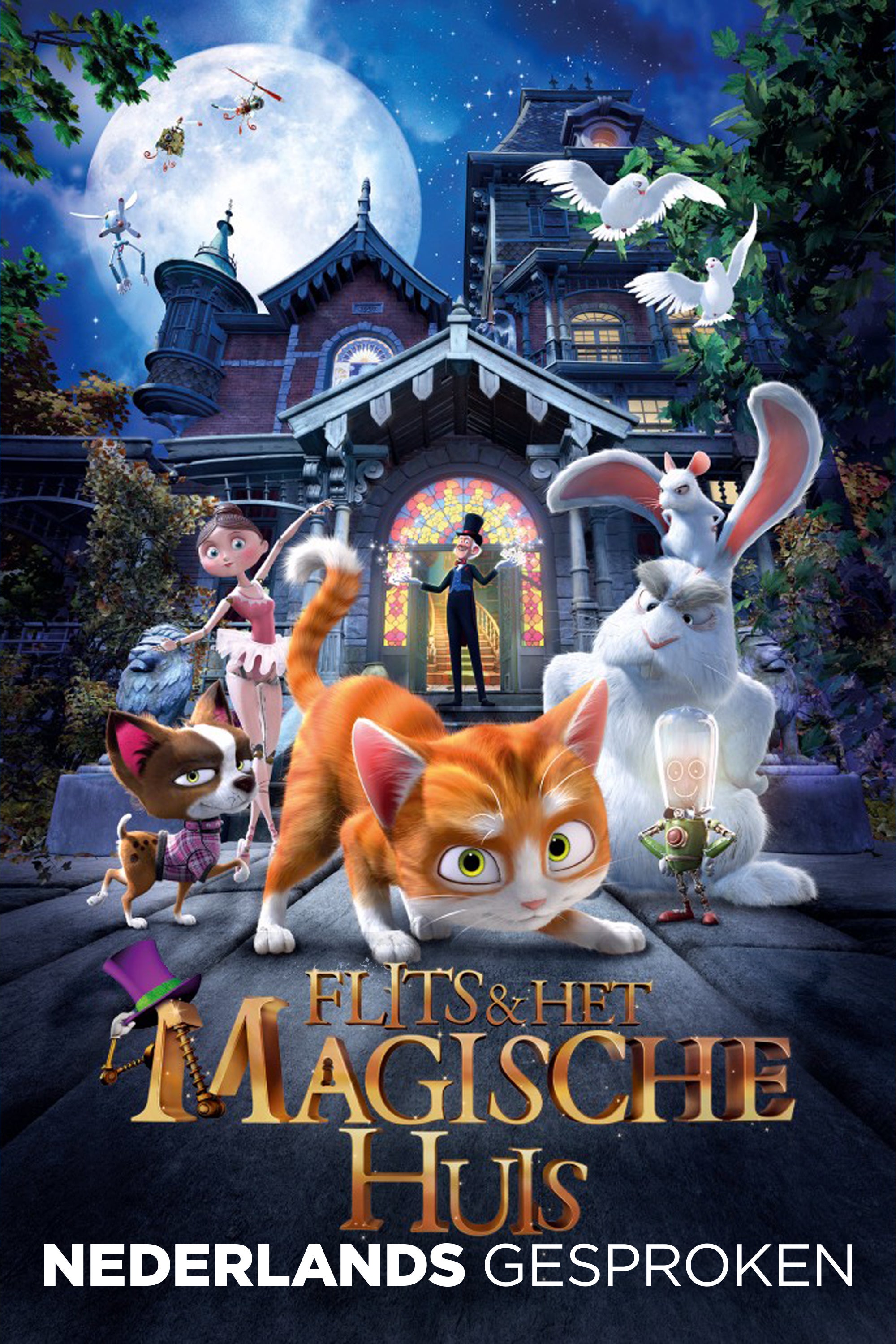 Flits en het Magische Huis