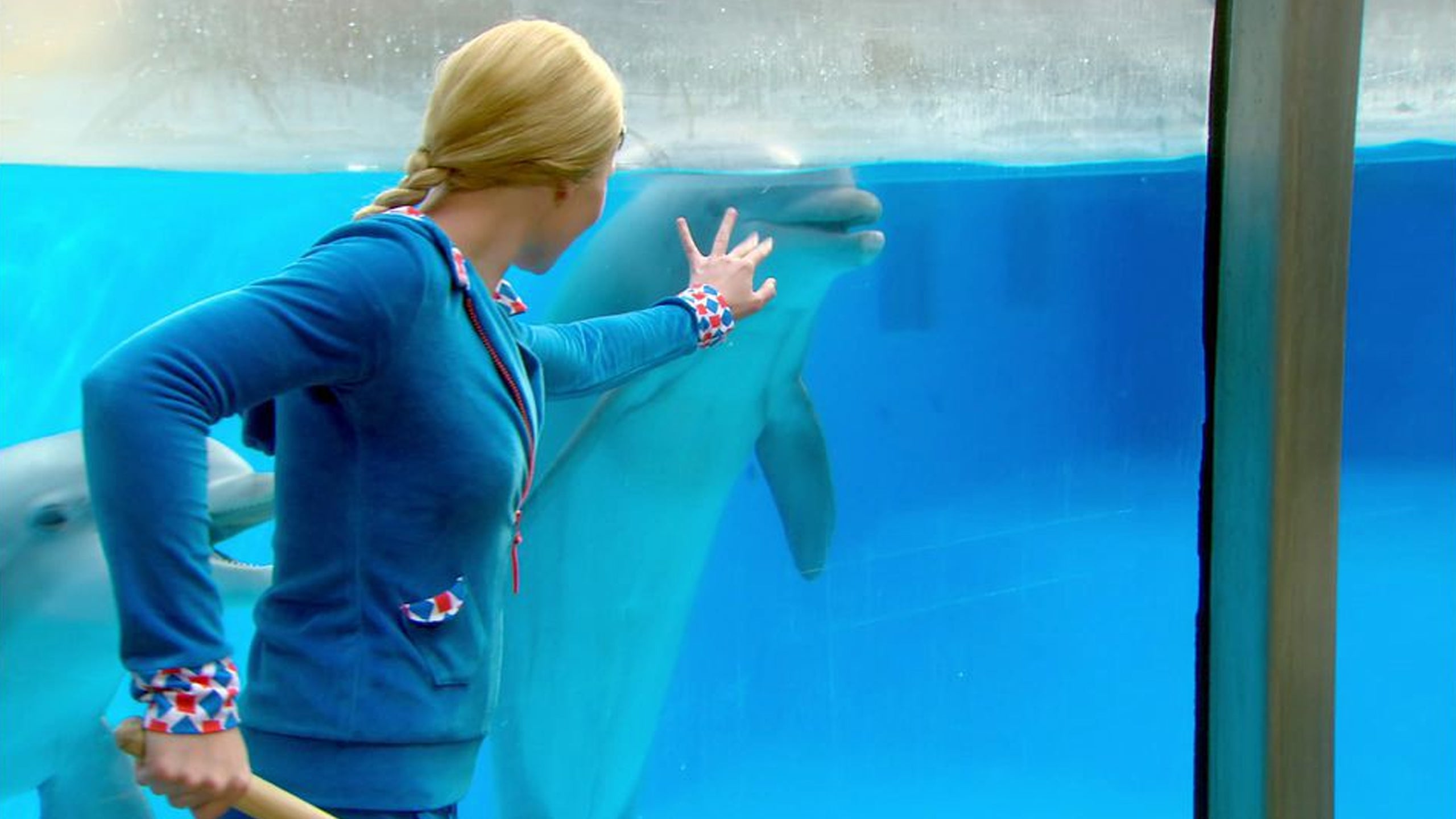 Mega Mindy En de Dolfijndiefstal