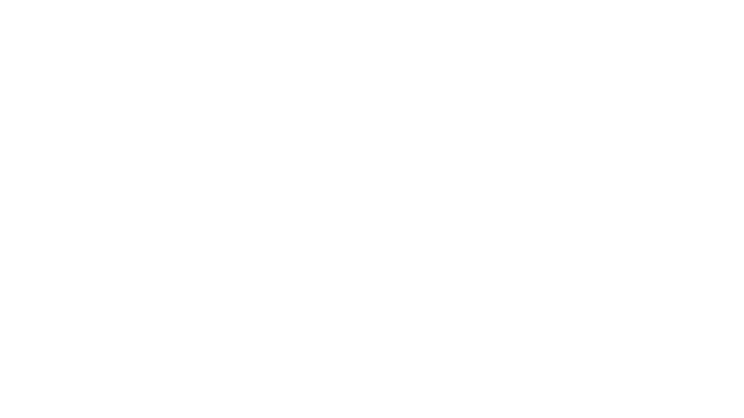 Het Leven uit een Dag