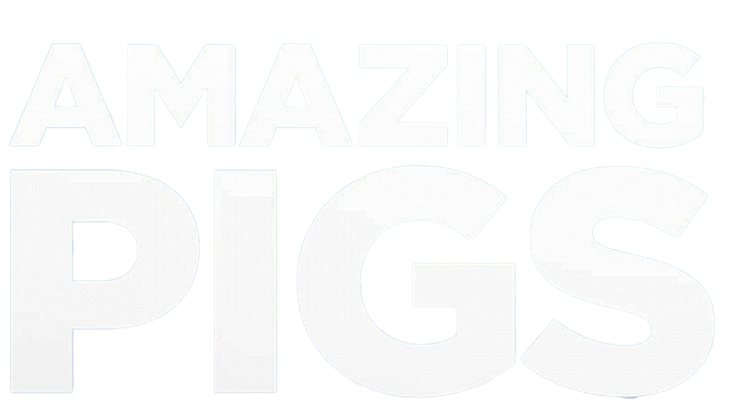 Amazing Pigs