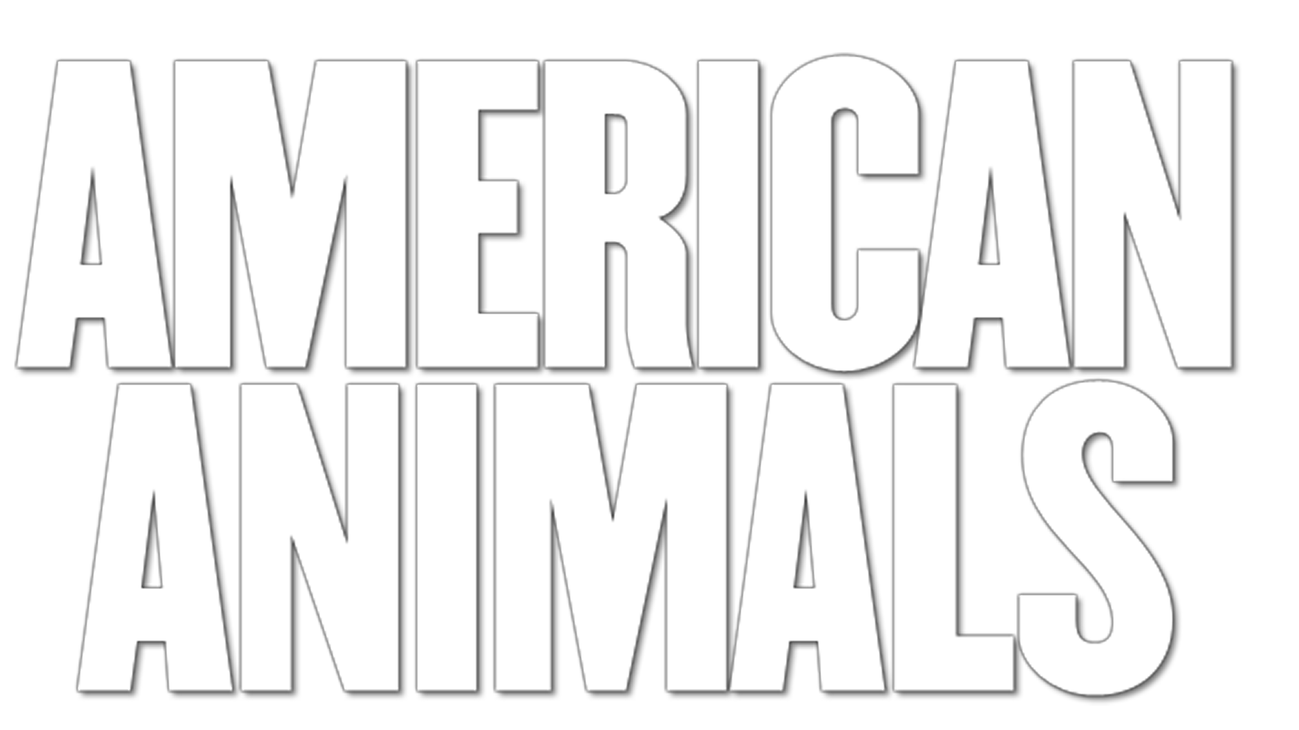 American Animals