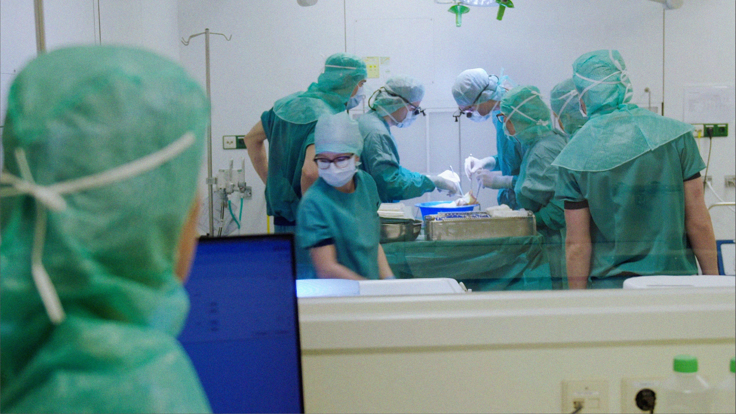 Dit Is Nederland: Allemaal Donor