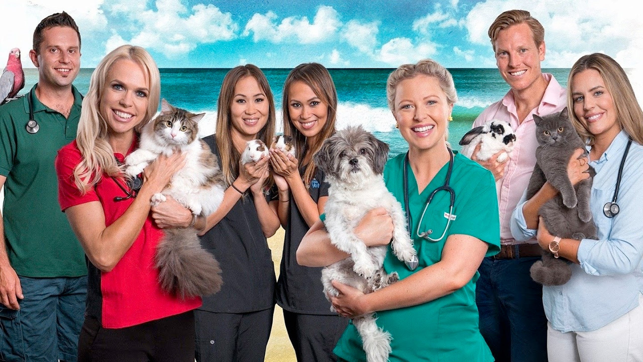 De Dierenkliniek Down Under