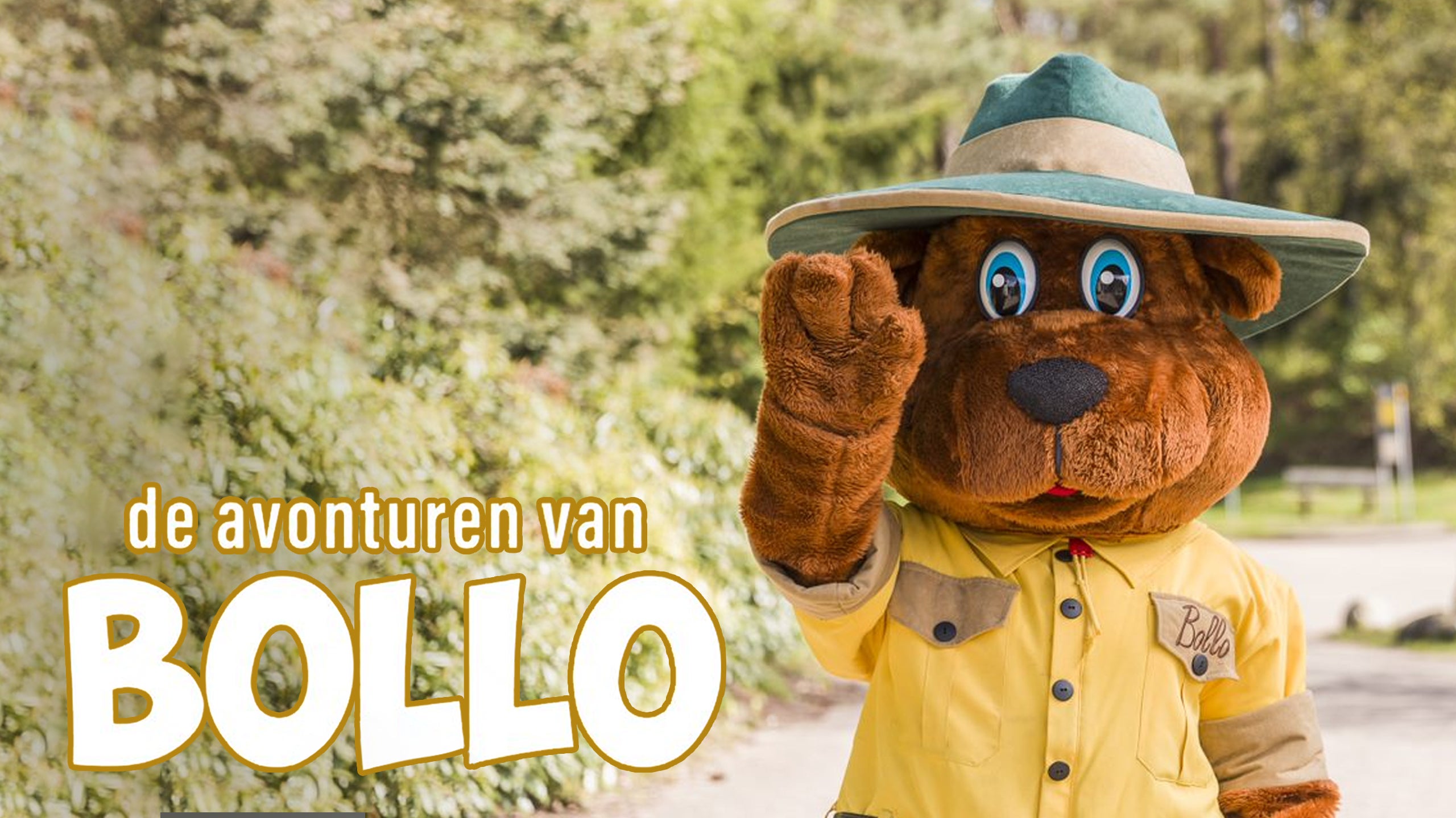De Avonturen Van Bollo