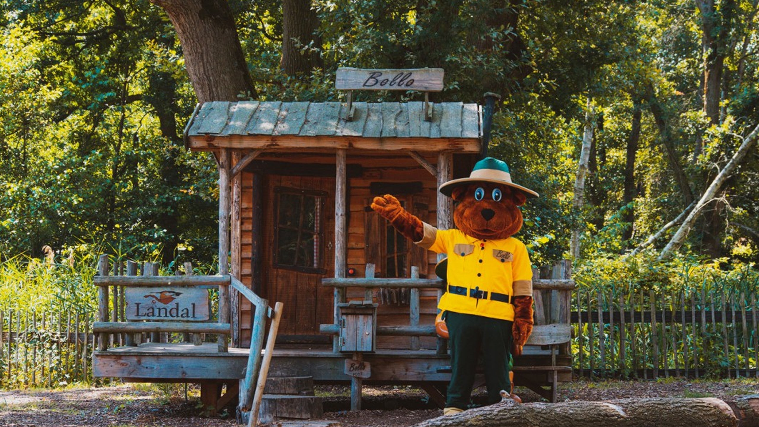 De Avonturen Van Bollo