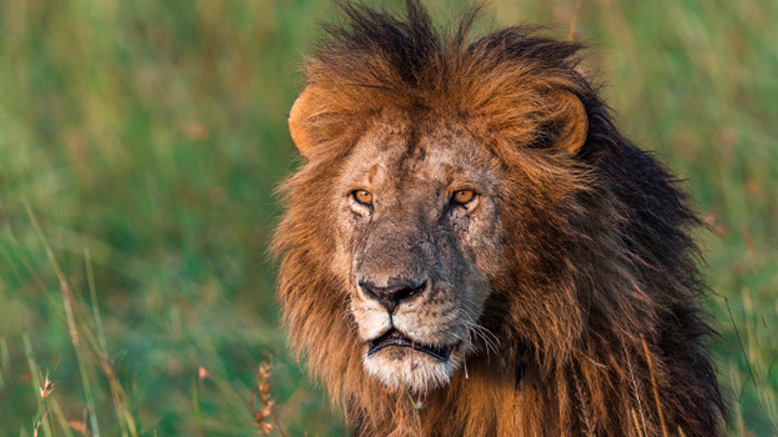 Wonders Of Africa: What A Difference A Day Makes