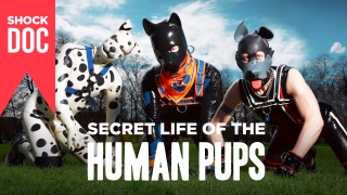 Shock Doc: Secret Life Of The Human Pups