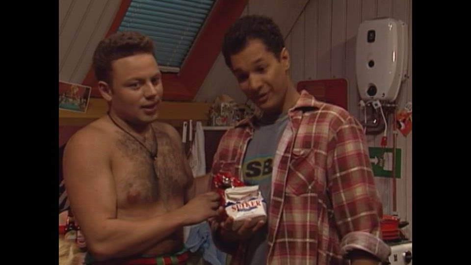 Muizen En Ander Ongedierte