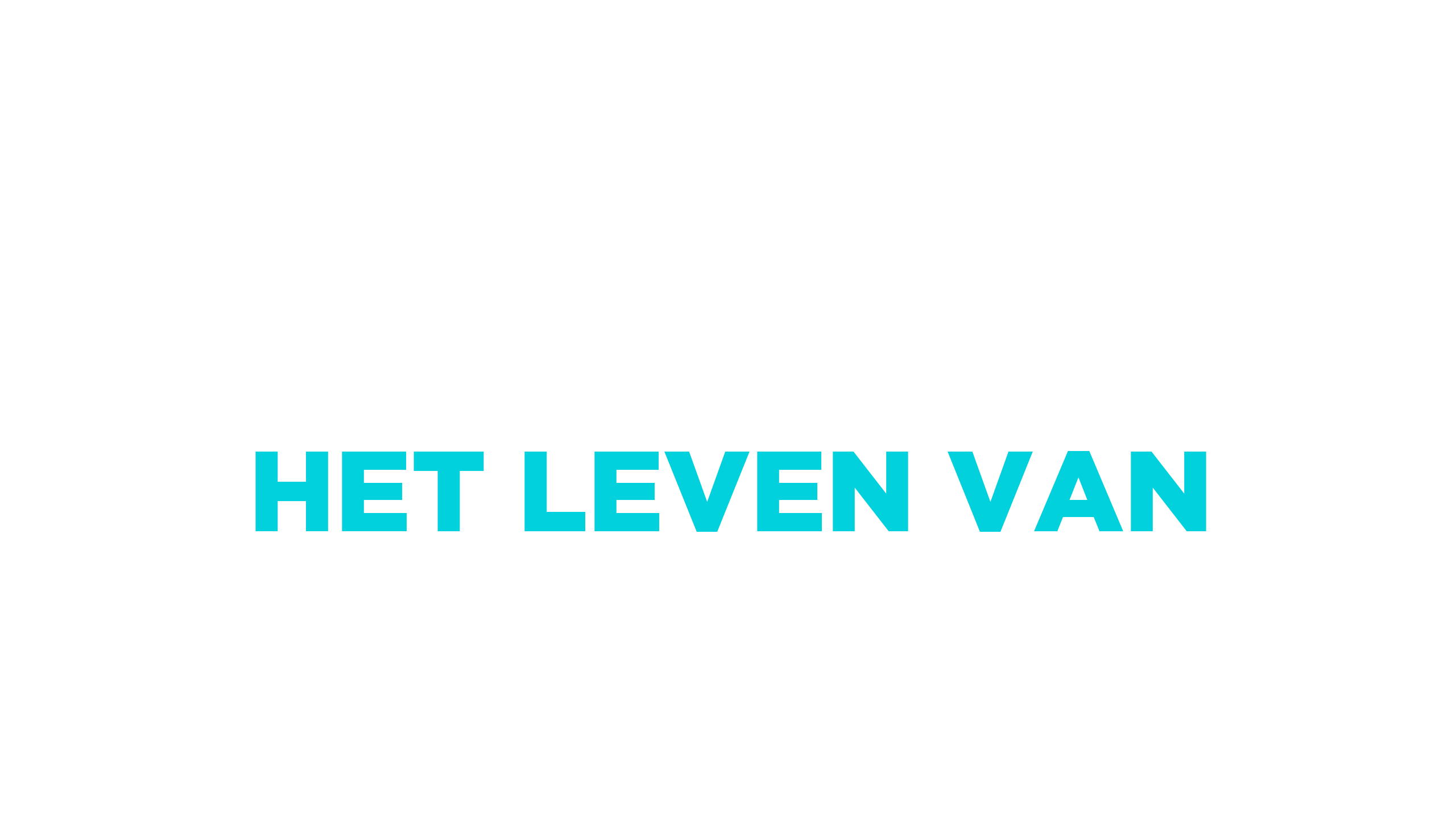Het Leven Van Queen Elizabeth