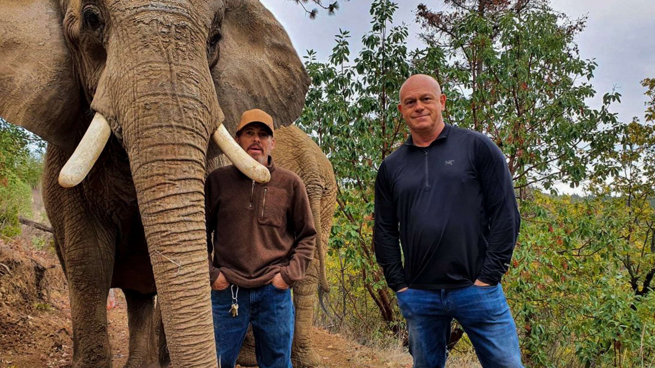 Ross Kemp: Searching For Jacko's Zoo