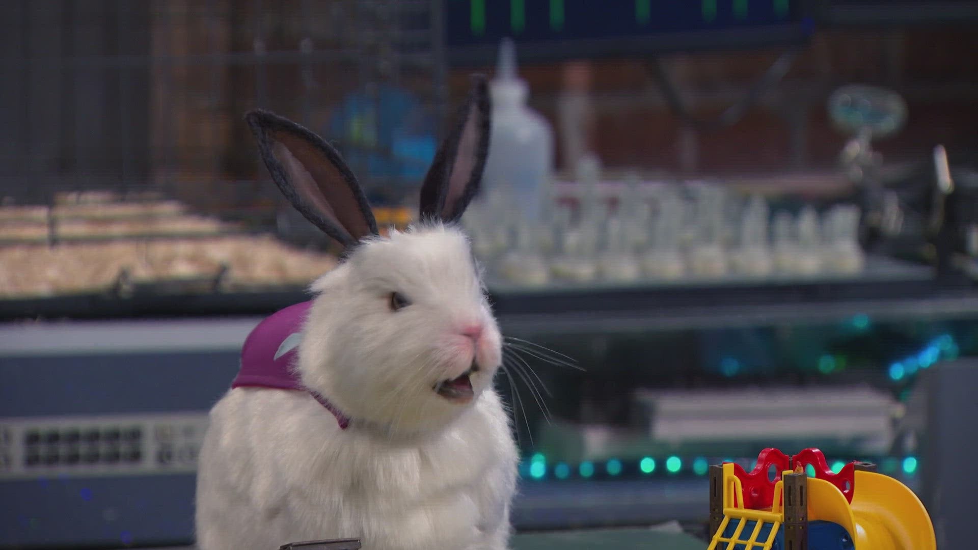 Oranje Is De Nieuwe Max