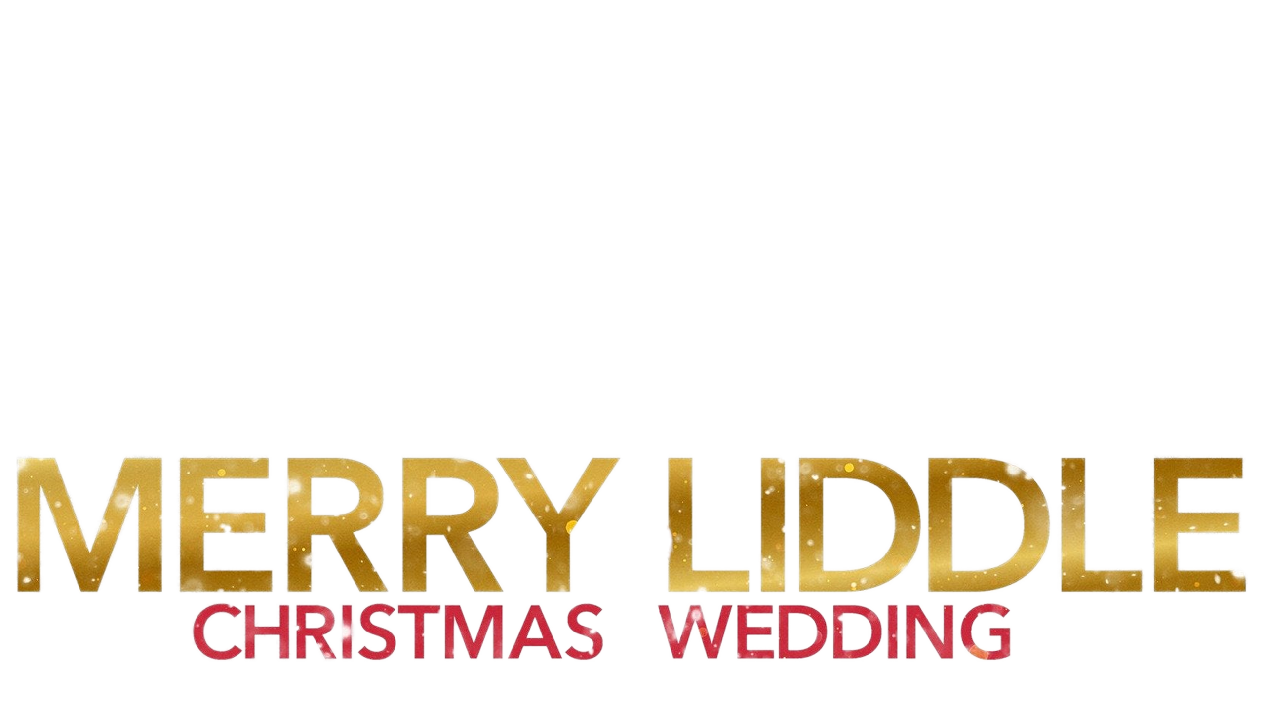 Merry Liddle Christmas Wedding