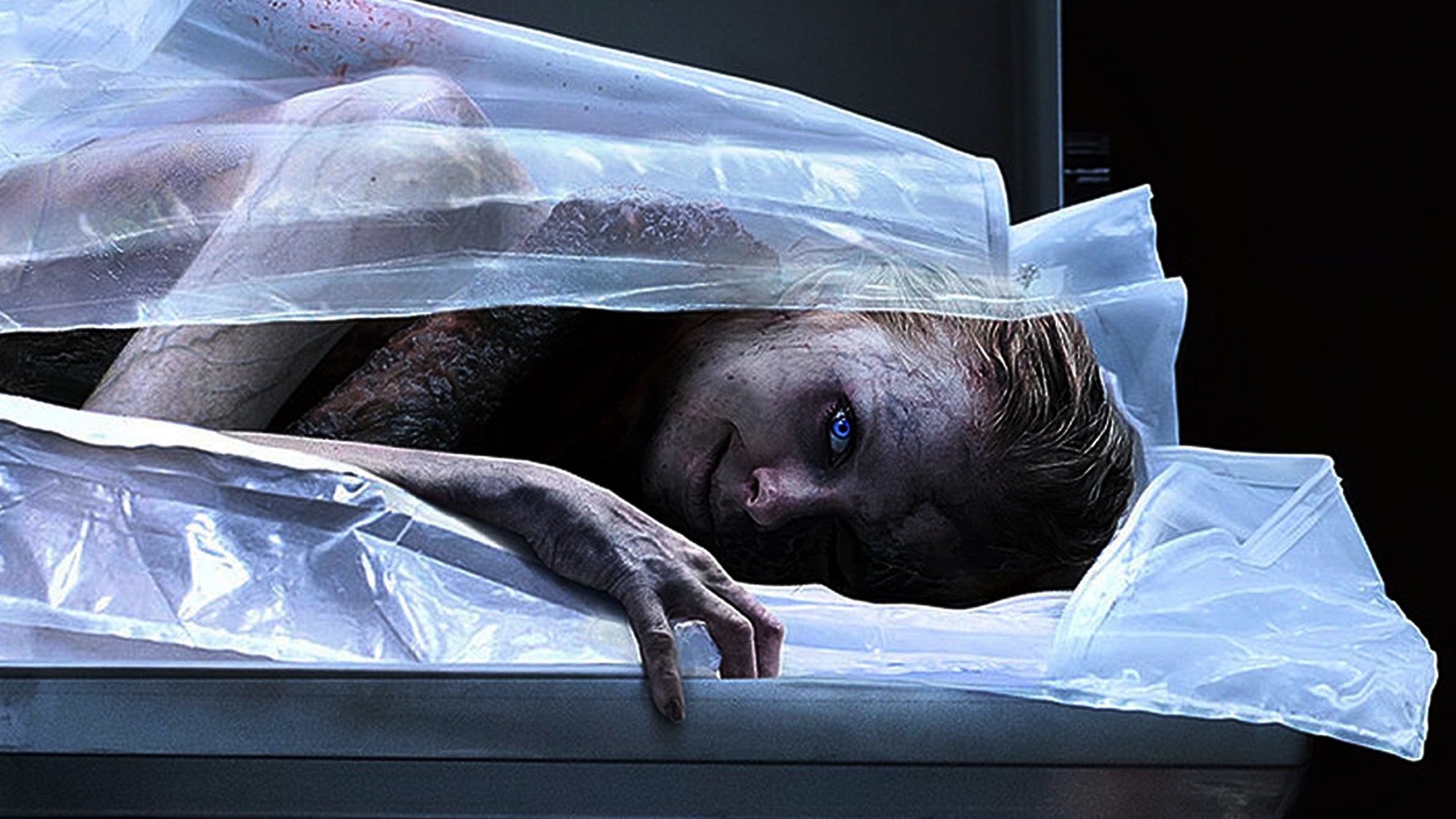 The Possession Of Hannah Grace