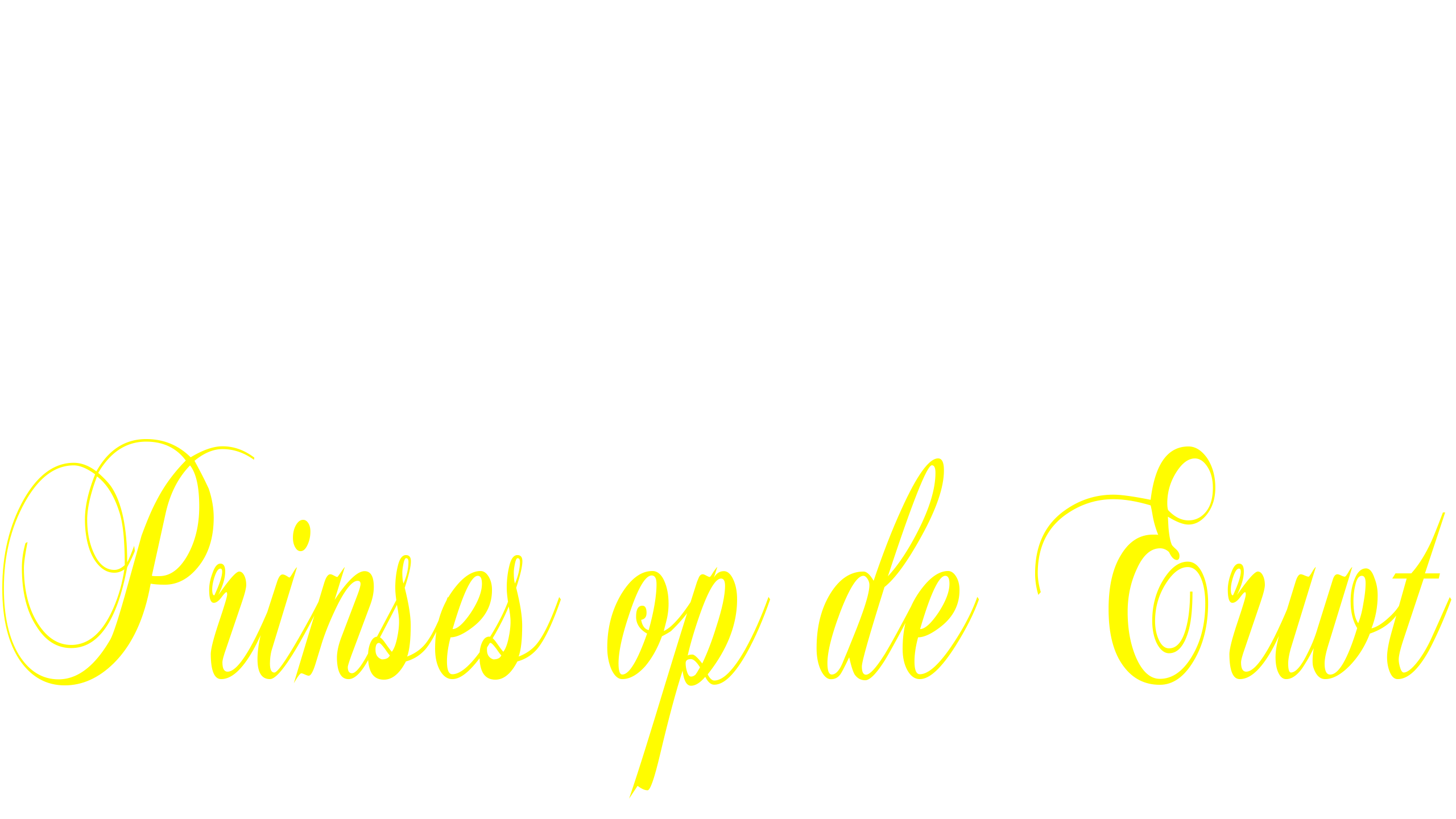 Een Modern Sprookje: Prinses op de Erwt