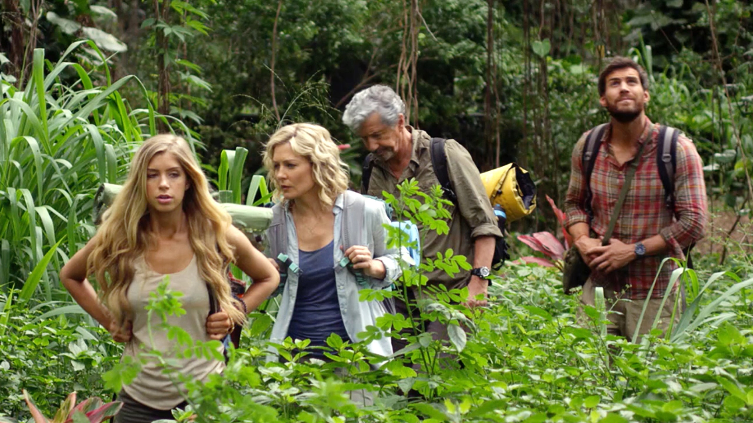 A Midsummer's Hawaiian Dream