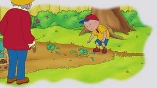 Caillou Roller Skates/Say Lettuce!/Caillou Tries To Whistle