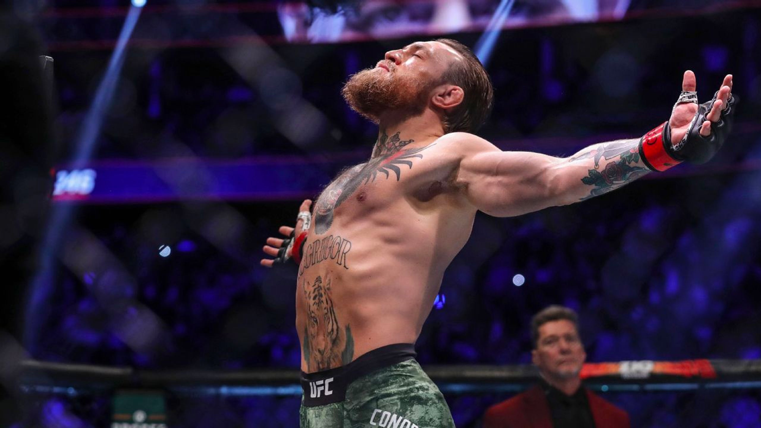 Conor McGregor: Notorious