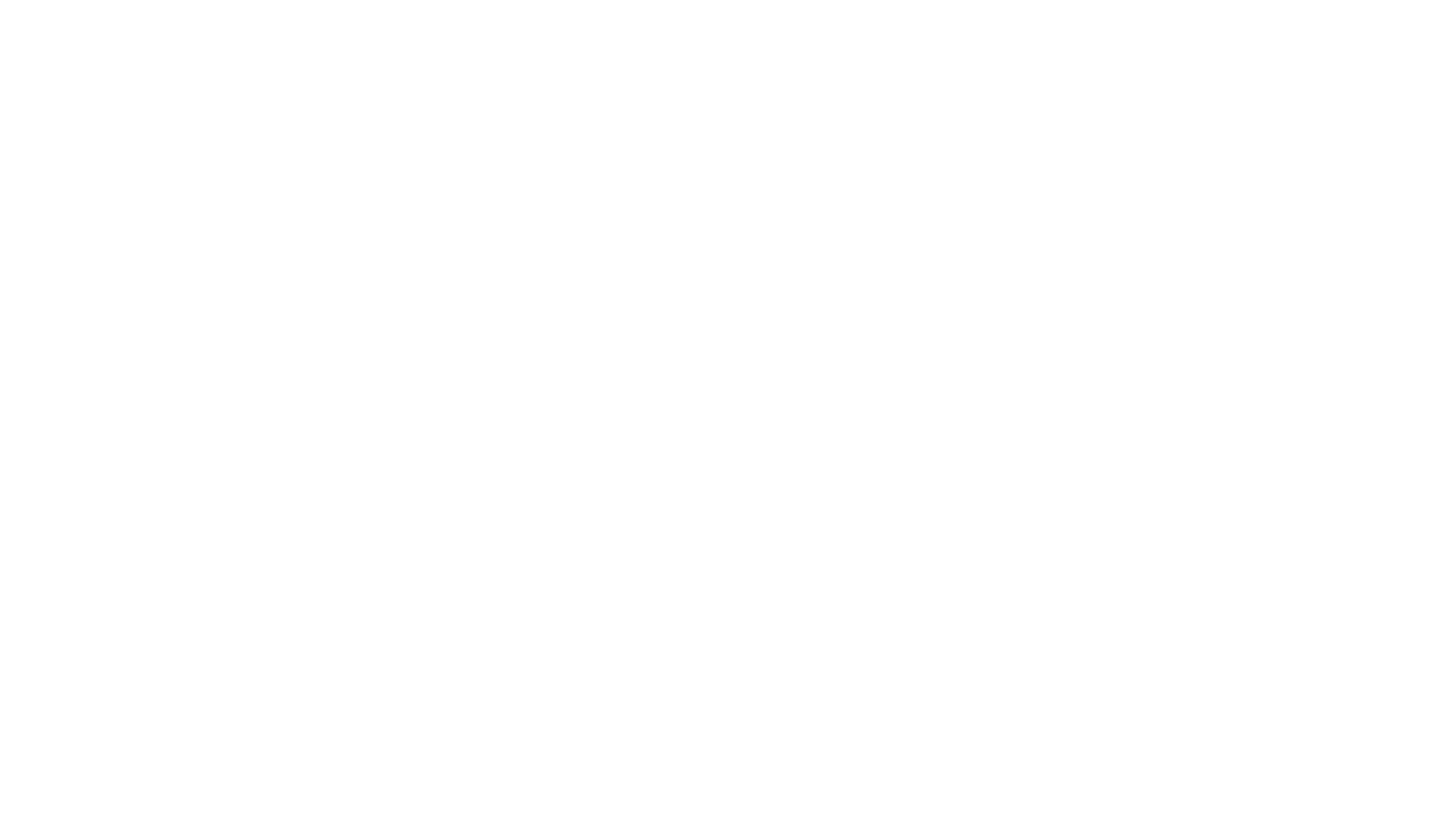 Nicky Verstappen: Achter de Schermen bij het Politieonderzoek