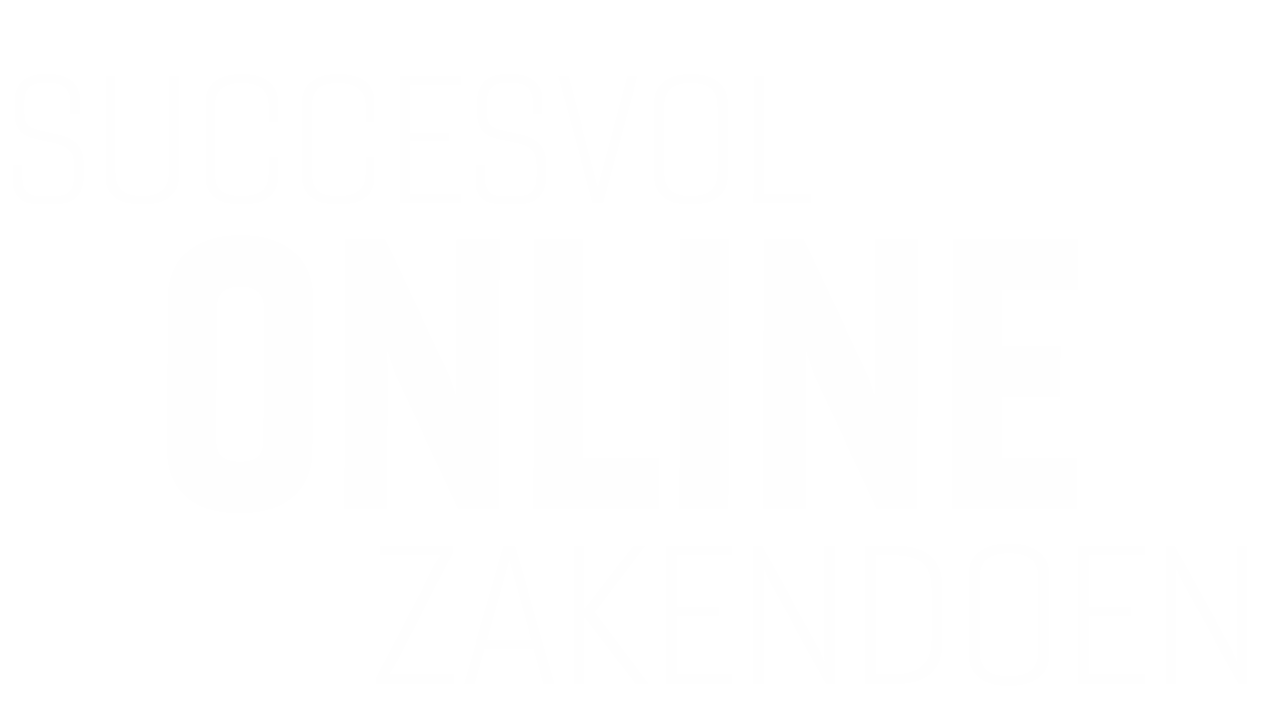 Succesvol Online Zakendoen