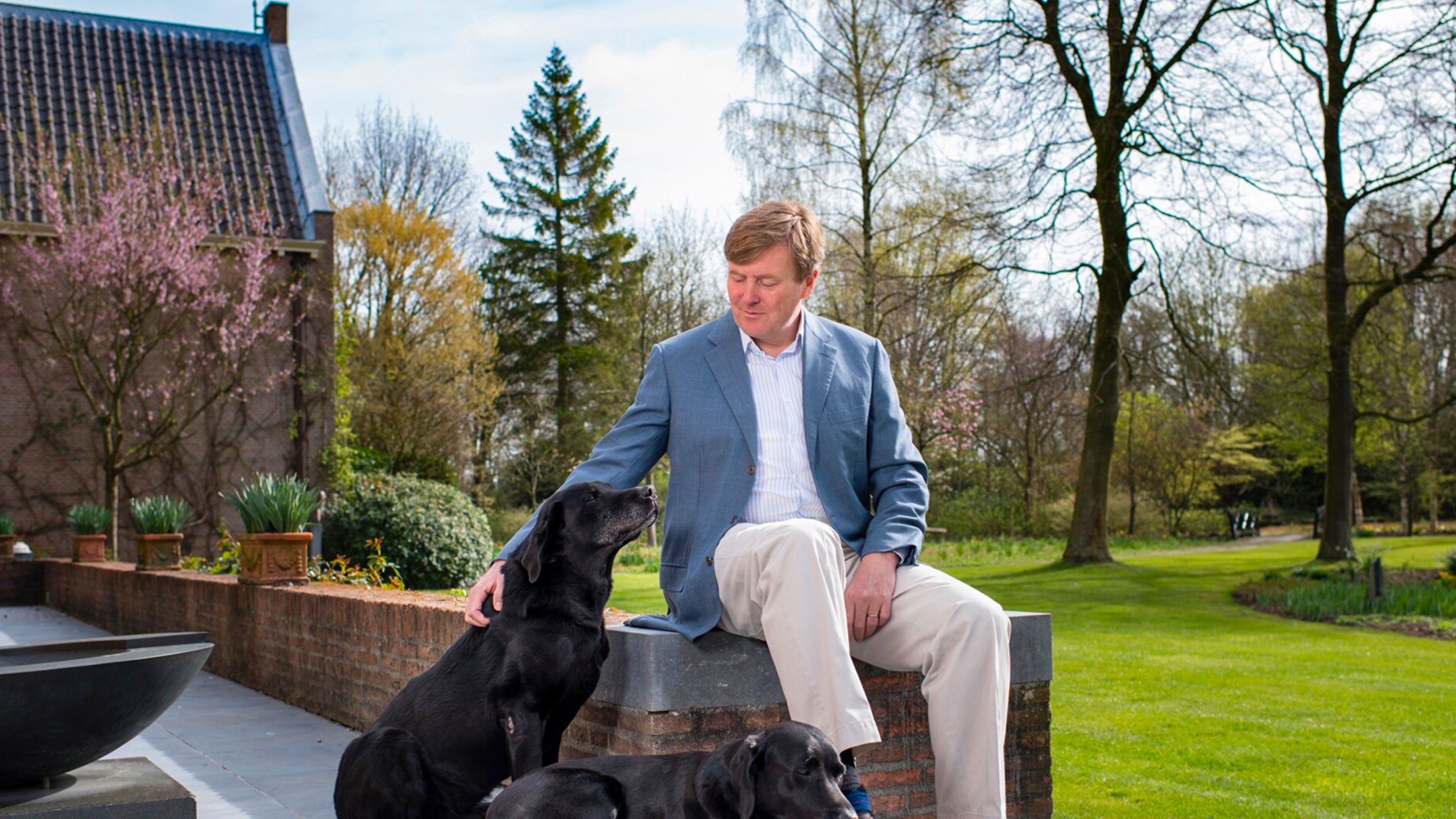 Koning Willem-Alexander 50