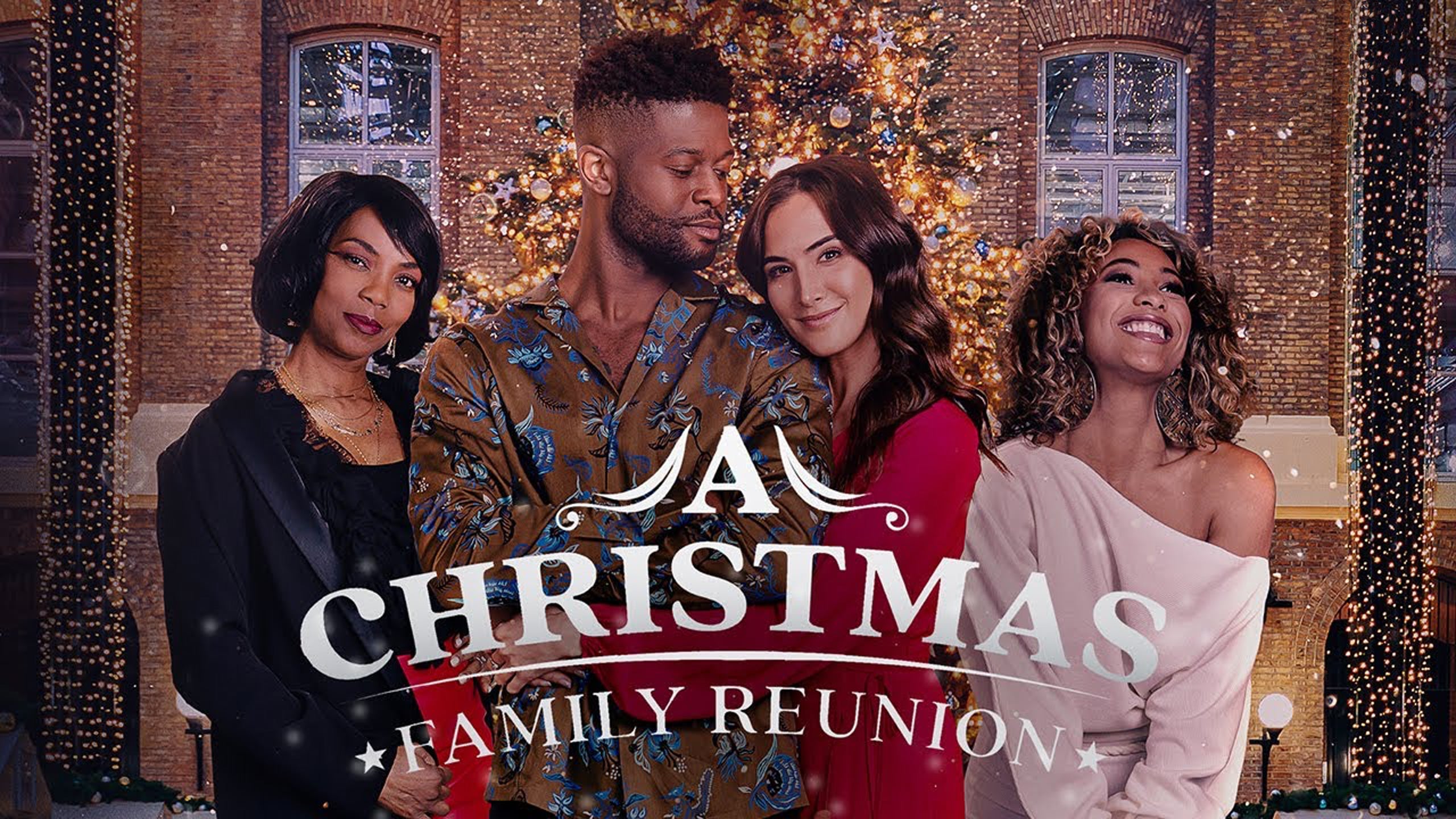 A Christmas Family Reunion