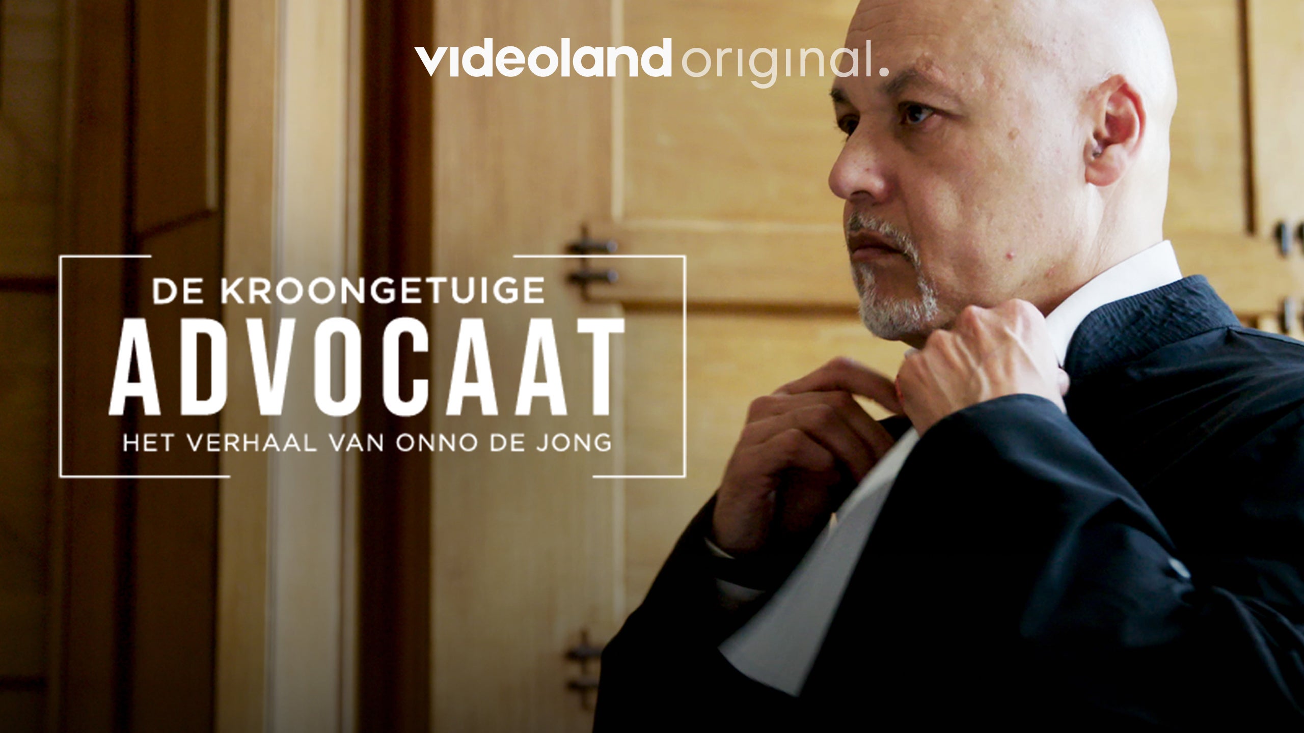 De Kroongetuigeadvocaat: Het Verhaal van Onno de Jong