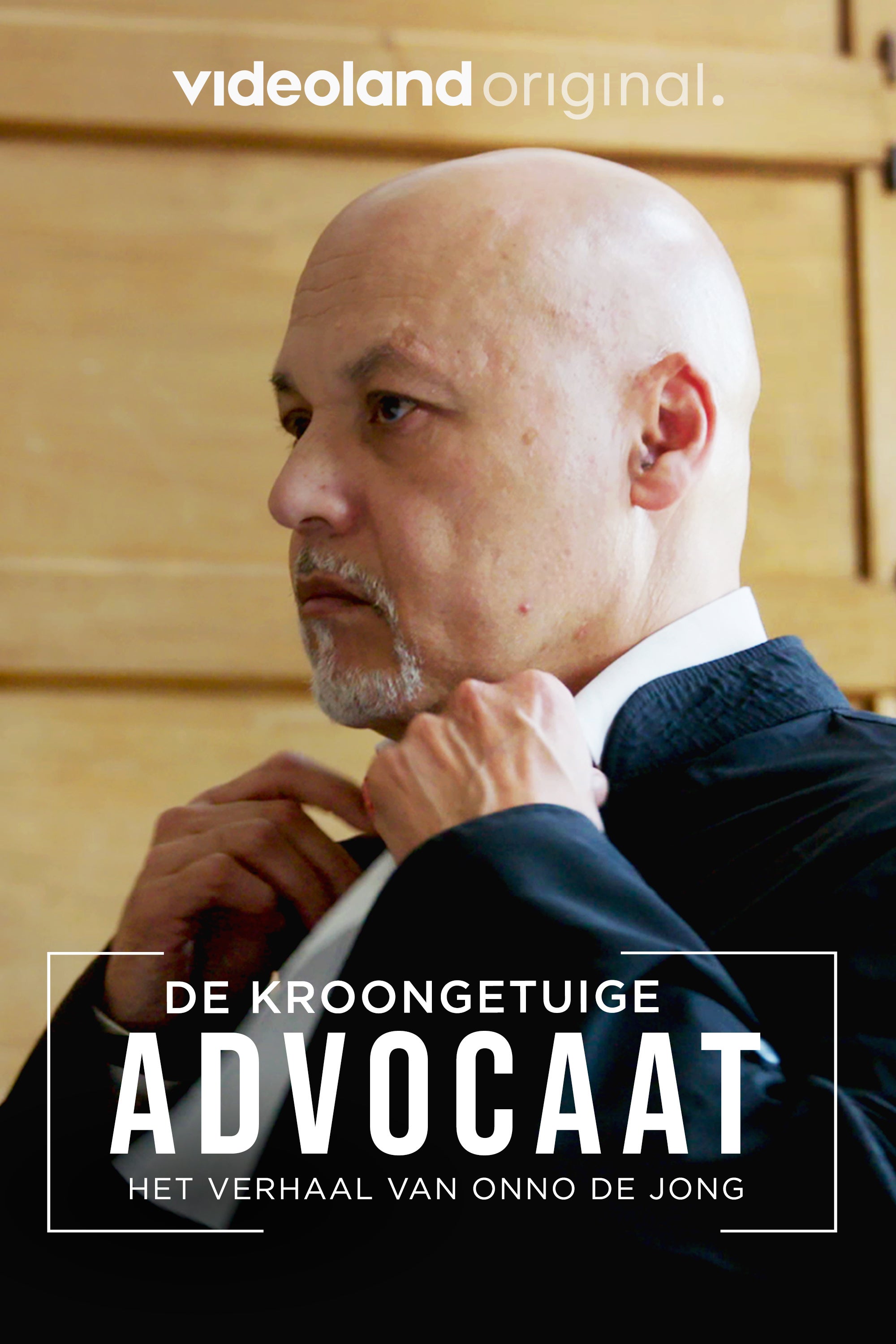 De Kroongetuigeadvocaat: Het Verhaal van Onno de Jong
