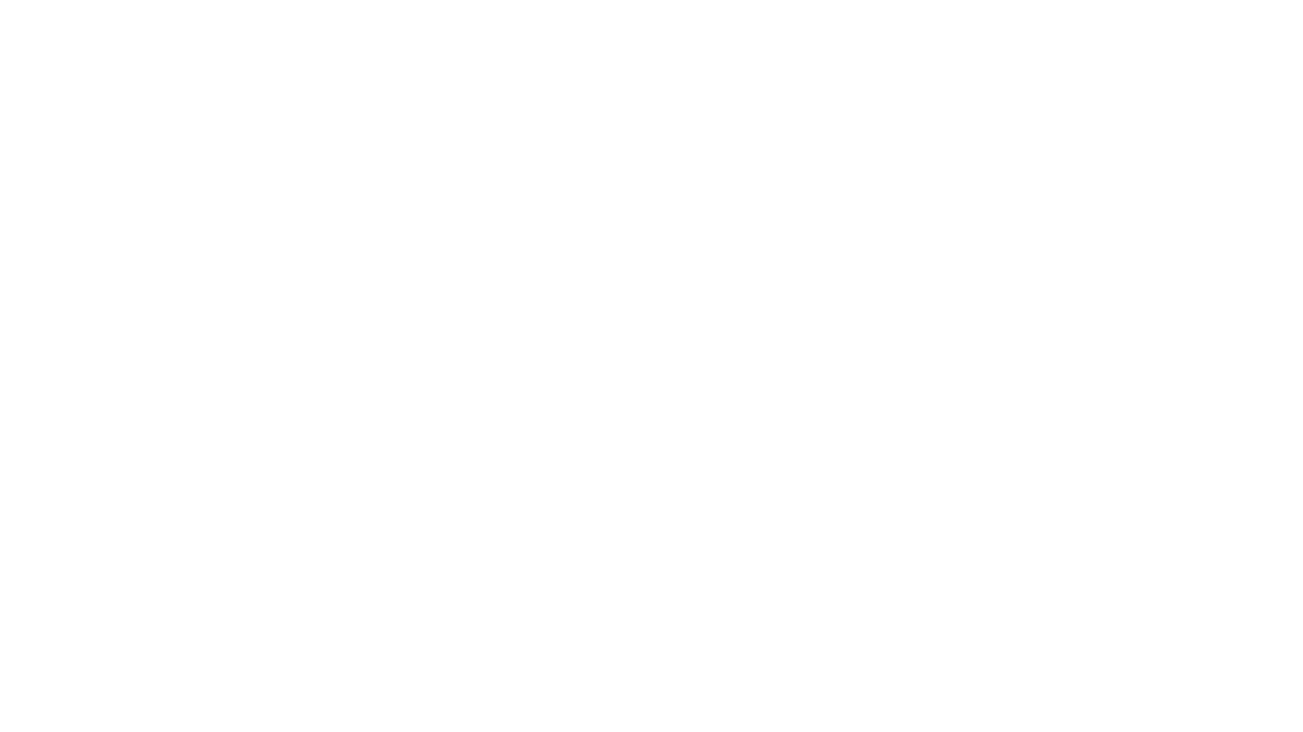 Zeeman Confronteert