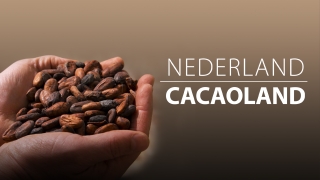 Nederland Cacaoland