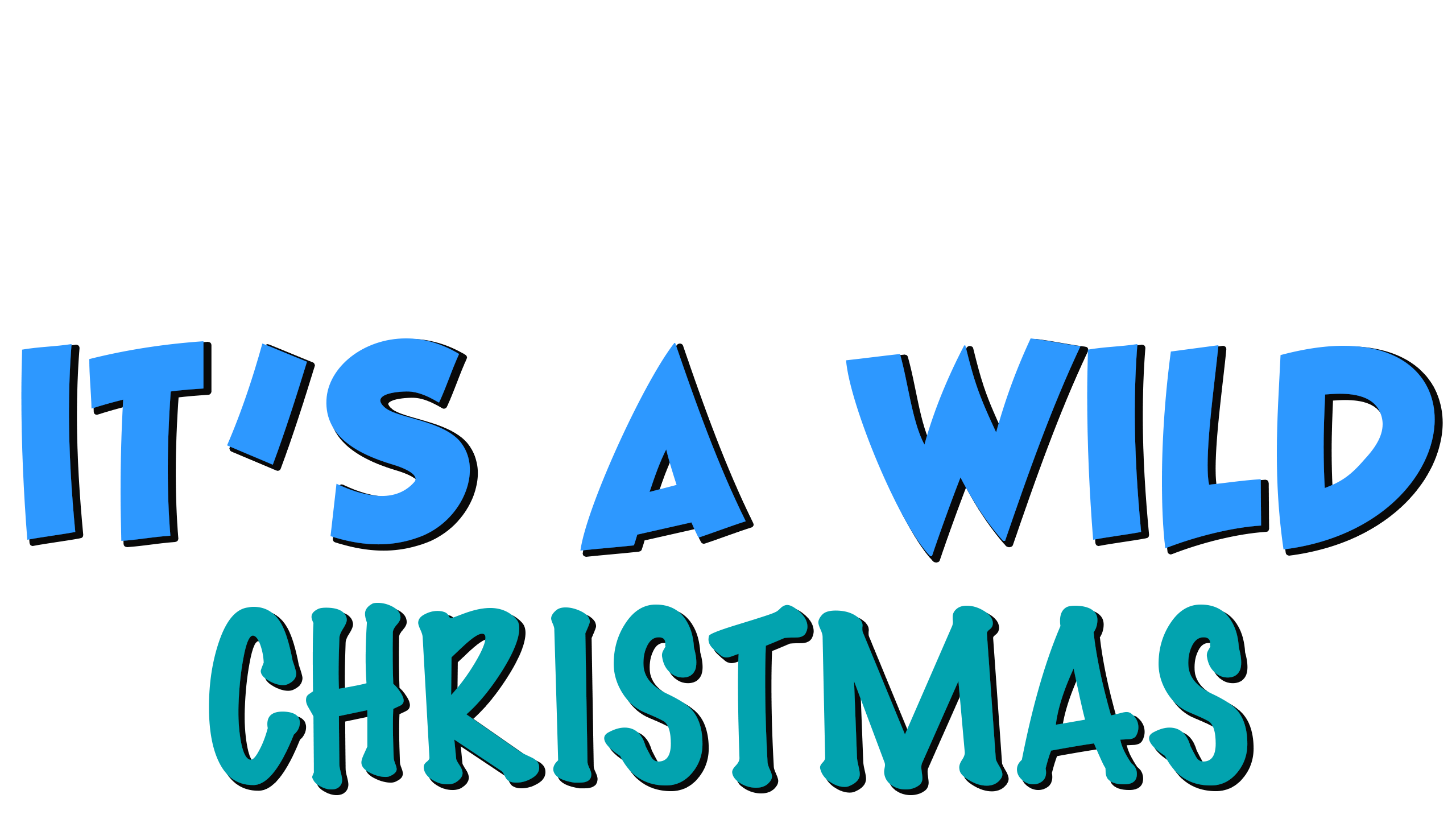 It's A Wild Christmas