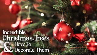 Incredible Christmas Trees And How To Decorate Them