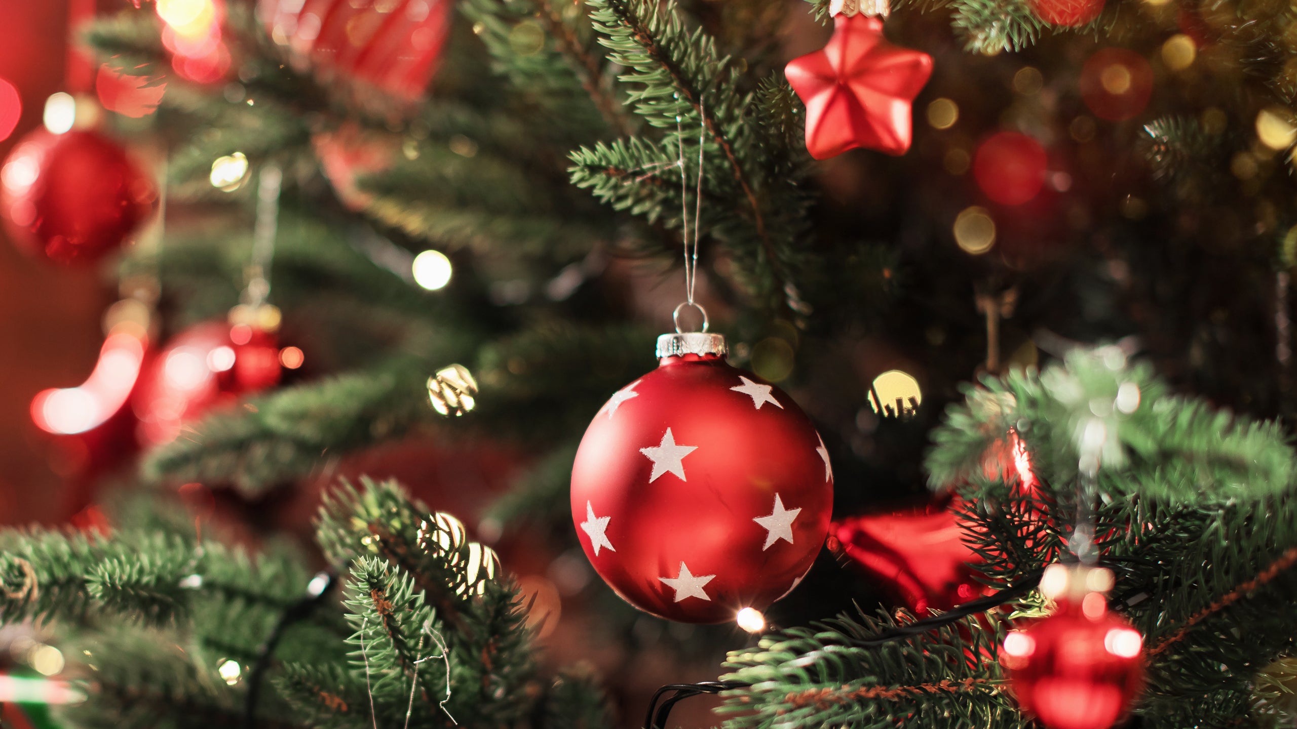 Incredible Christmas Trees And How To Decorate Them