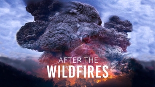 After The Wildfires