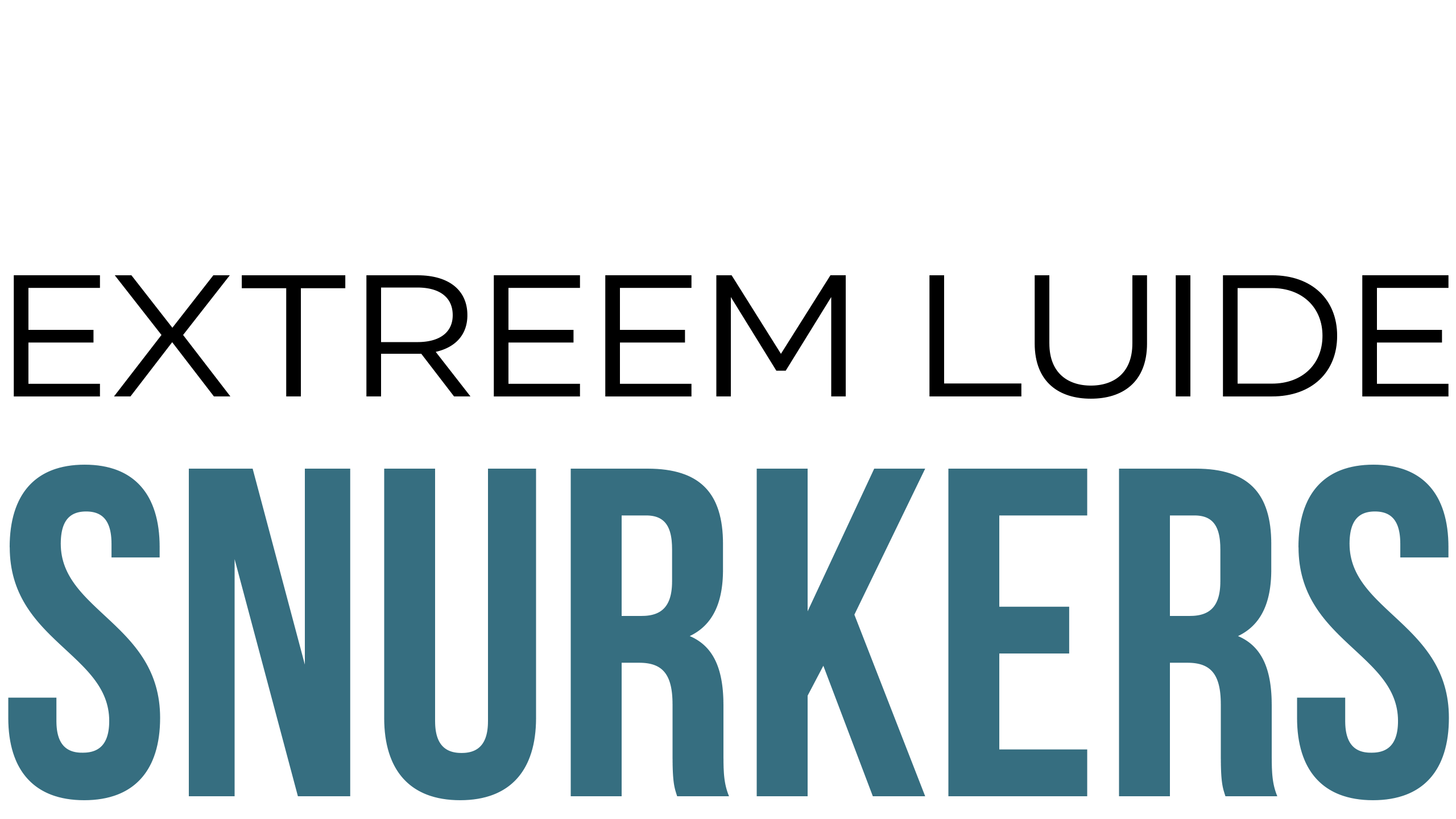 Extreem Luide Snurkers