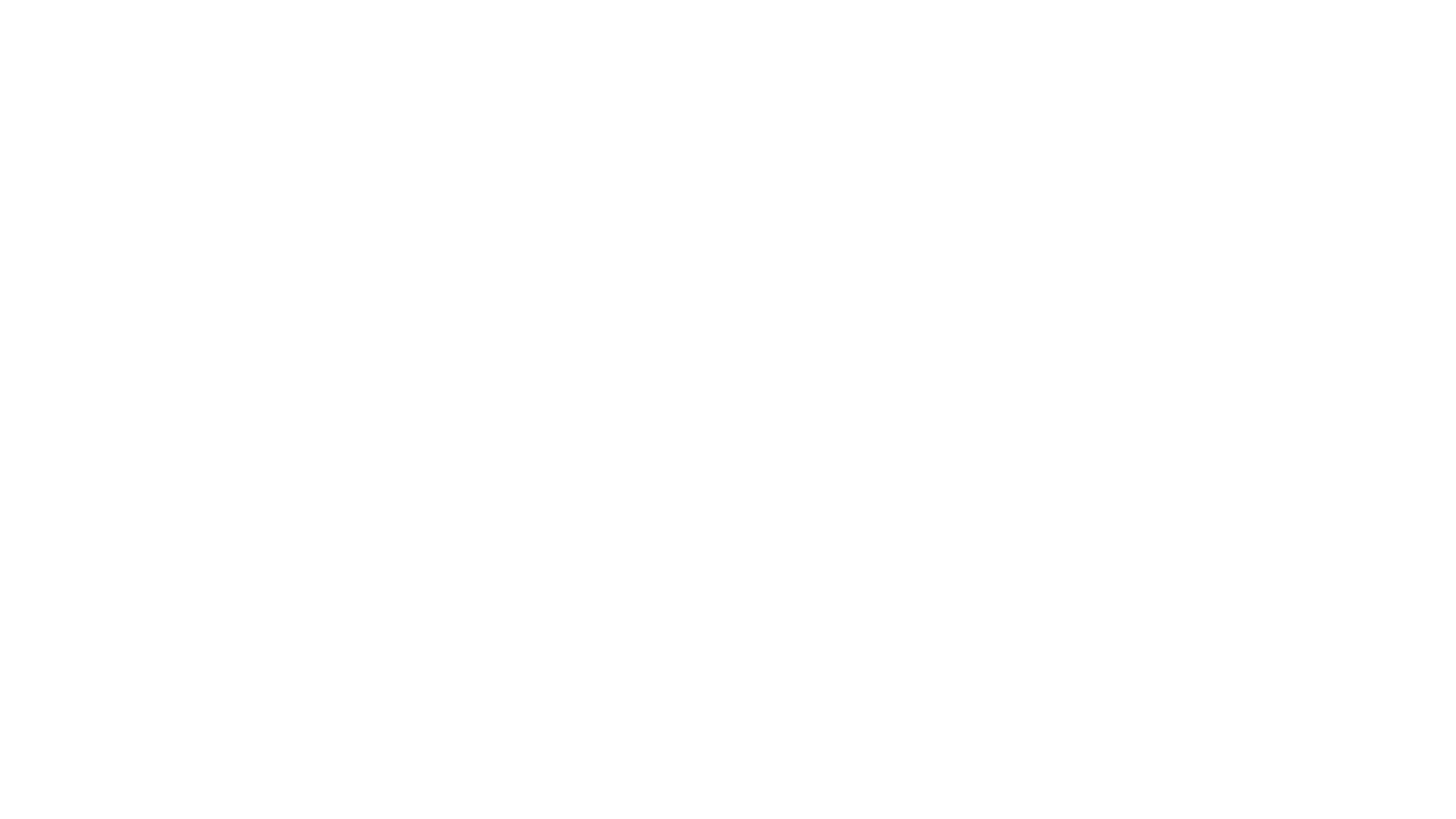 Martijn Koning: Oudejaarsconference 2019