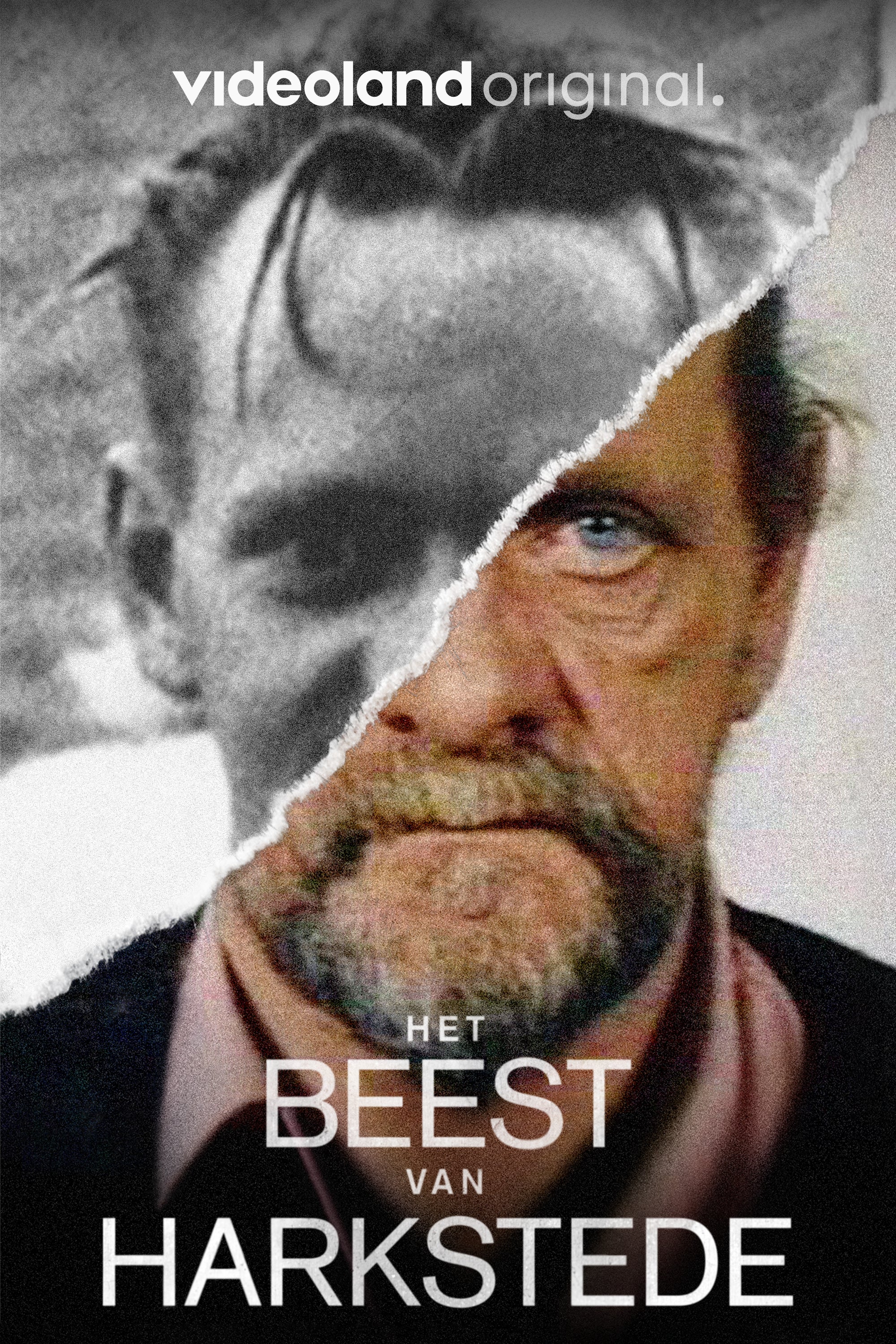 Het Beest Van Harkstede