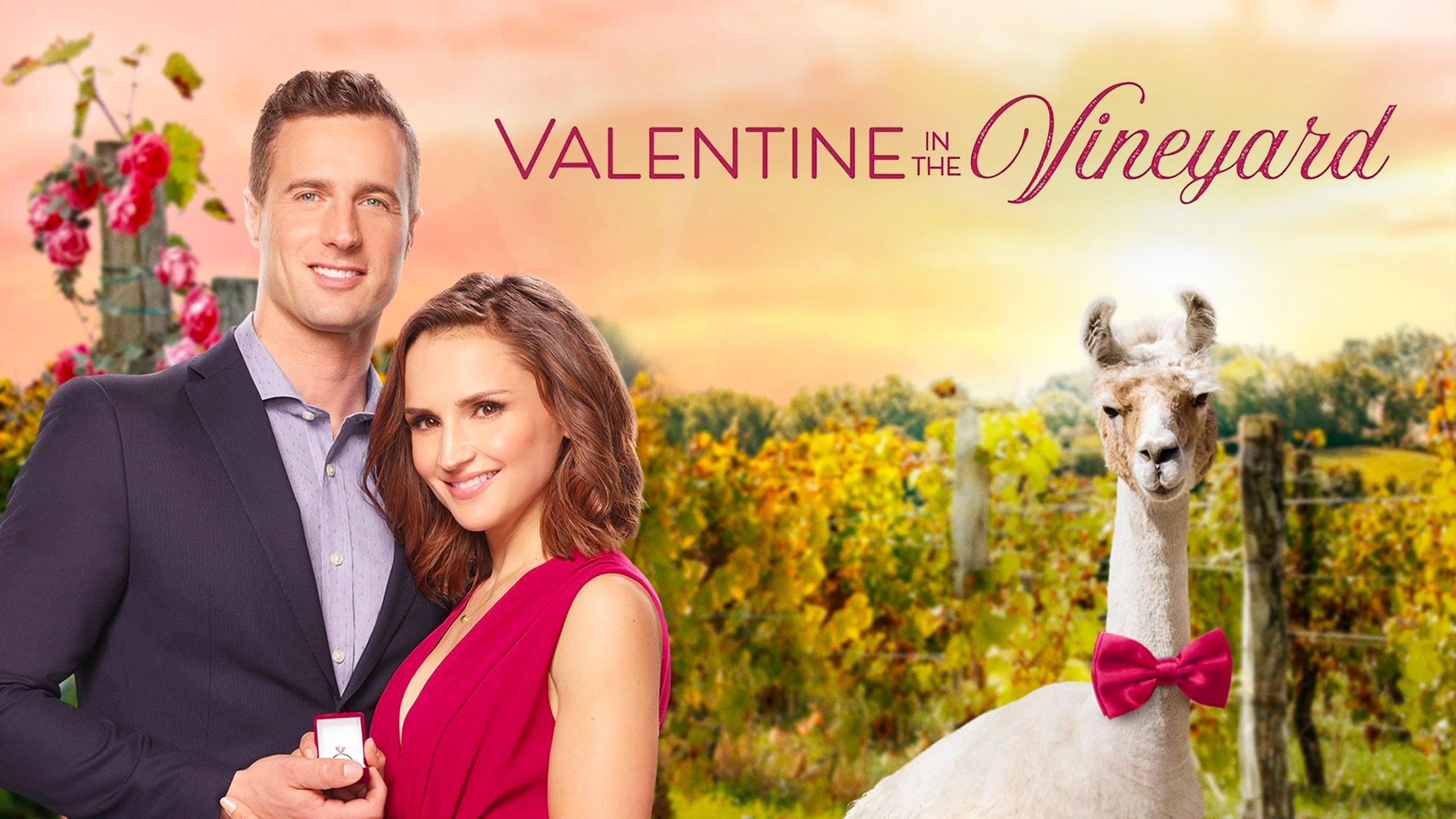 Valentine In The Vineyard